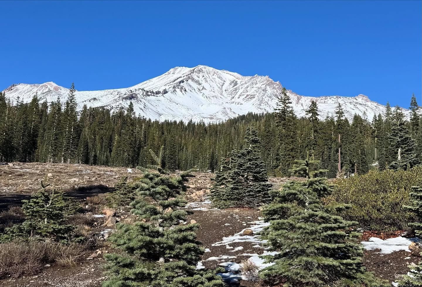 A heads up the store is closed today we are on a short vacation. Will be back open tomorrow&hellip;. I climbed to the summit of Mt. Shasta when I was young, a few years ago. Okay, actually about forty years ago. It looked glorious on the bluebird day