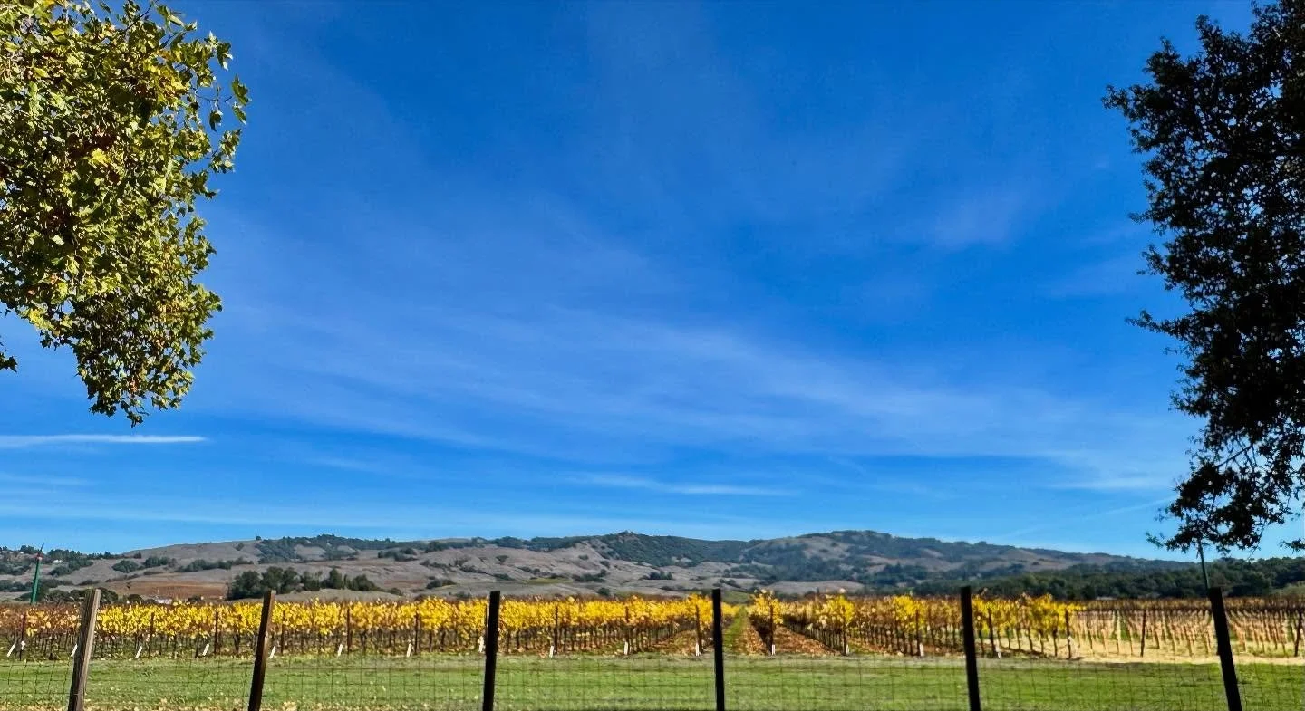 The end of our block, for over 15 years. Livin the dream.

#sonomacounty #sonomamountain #penngrove #northbay #rarerecords