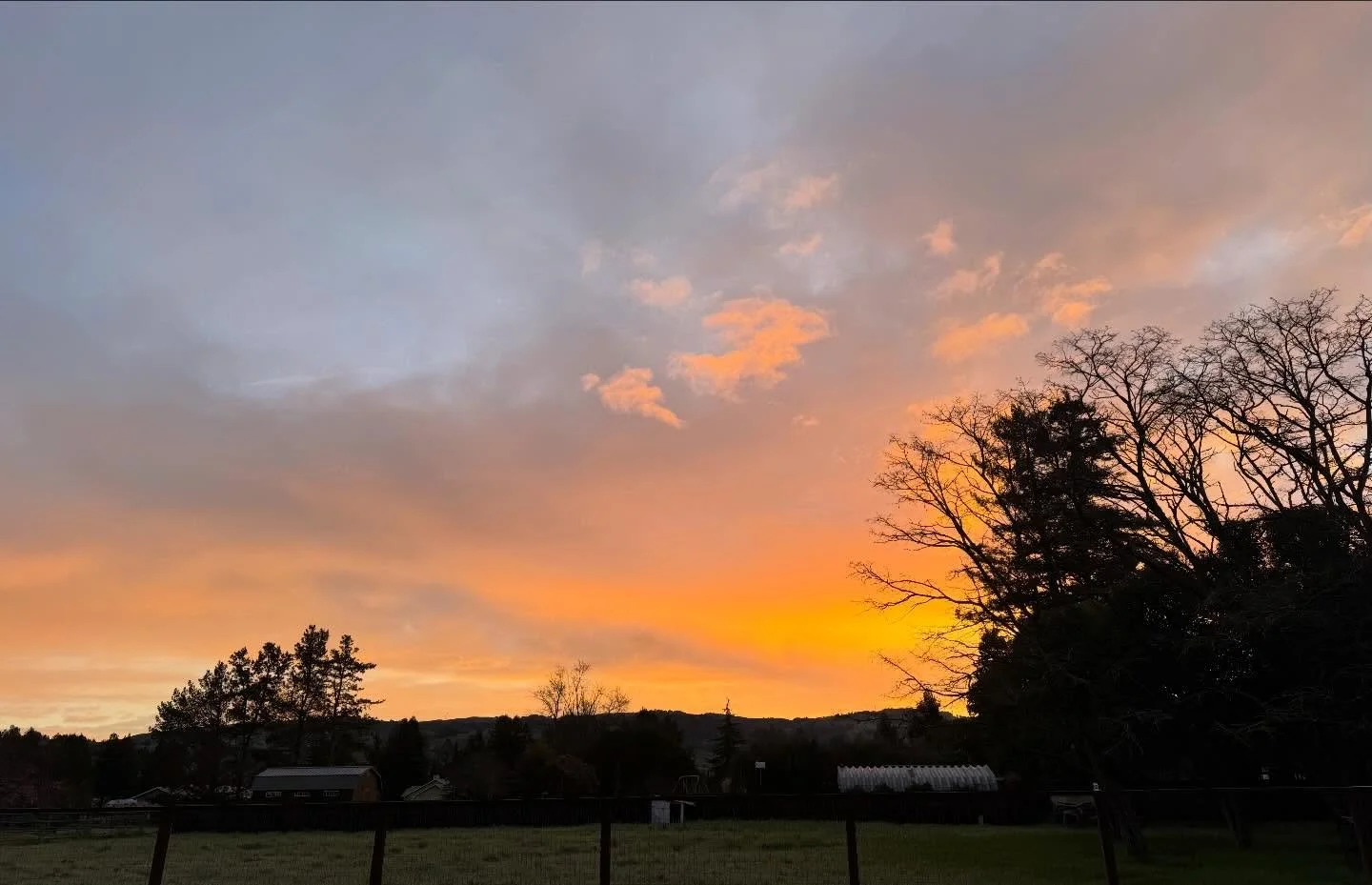 Good morning North Bay. Enjoy the beautiful winter day.

#sunrise #northbayarea #northbay #sonomacounty #rarerecords