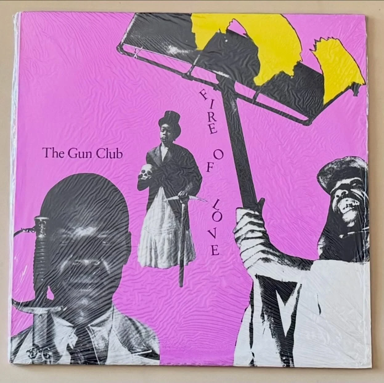Record of the Day: still sealed 1981 pressing of this iconic album on Ruby Records!!! The store is open 11 to 6 come on in.

#gunclub #fireoflove #jeffreyleepierce #punkrecords #recordsforsale
