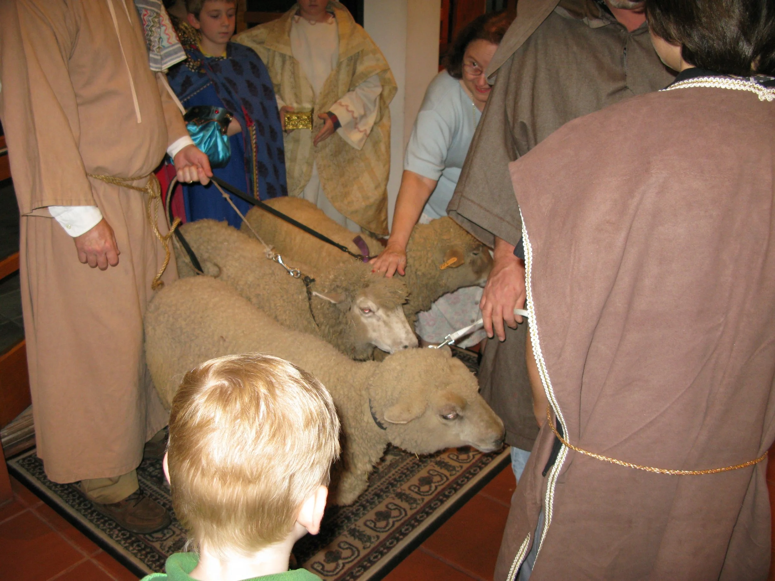 IMG_8938.jpg