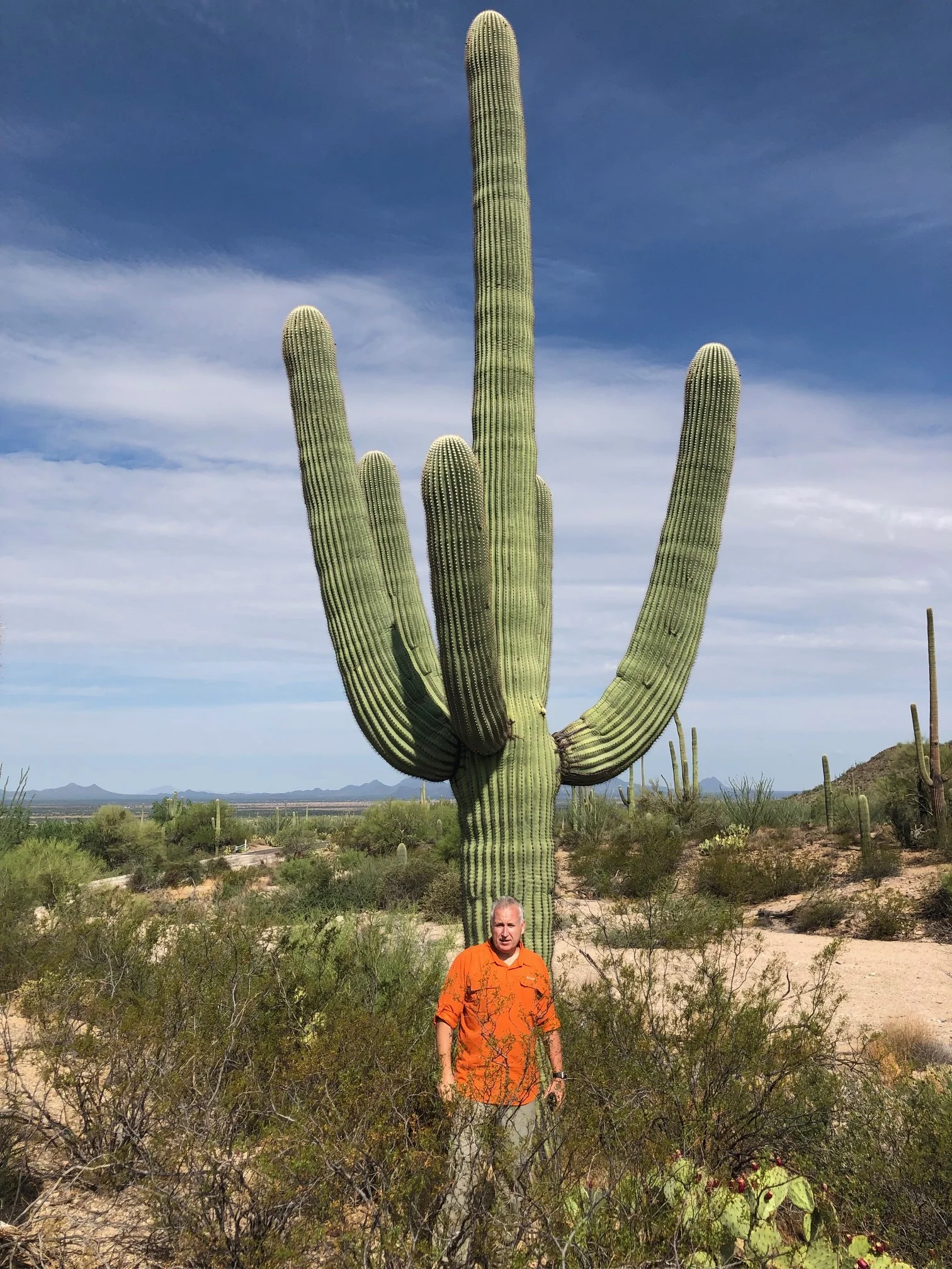 Mark and Saguaro