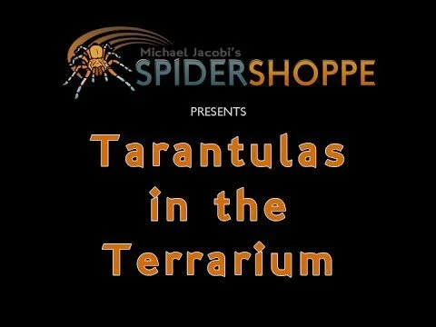 Tarantulas in the Terrarium (An instructional film by Michael Jacobi's SPIDERSHOPPE)