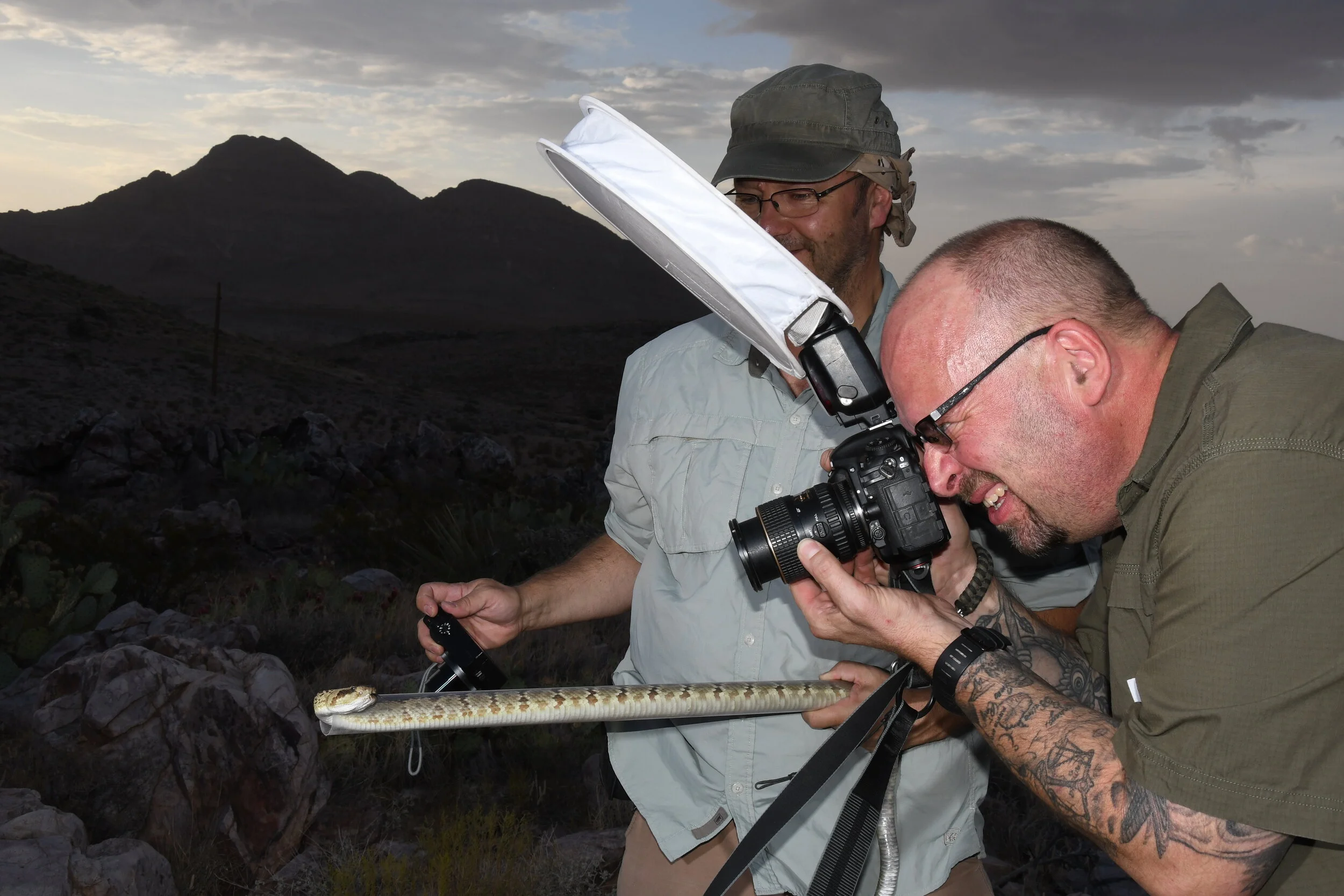 F-Stoppers diffuser for photographing snakes.