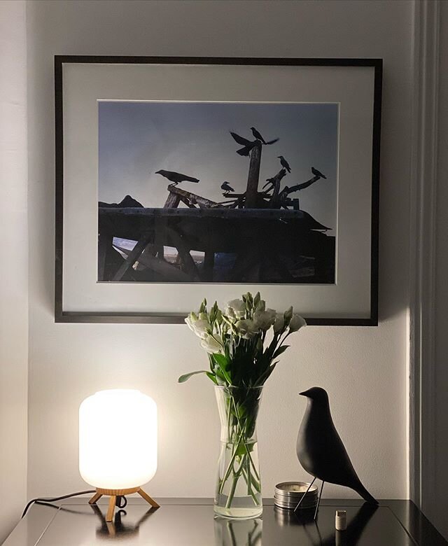 The photo was taken in Mumbai when Hugo and I were there in 2006. Hugo bought the raven and the lamp and the flowers. I love living with a designer....things change every day&mdash;this was today&rsquo;s accidental arrangement...tomorrow it will be g