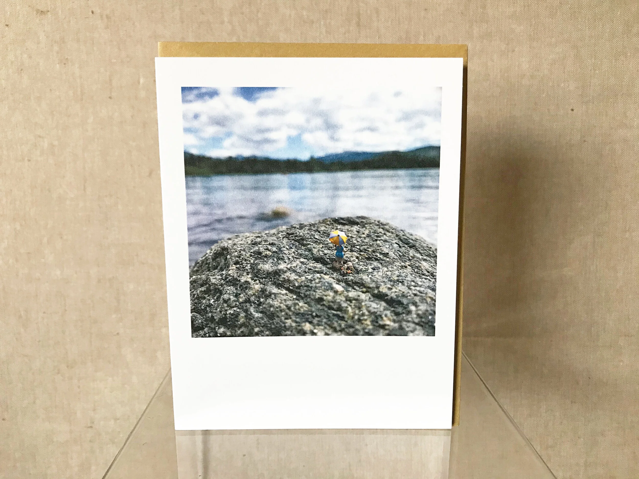 Shore-Surveyor.jpg