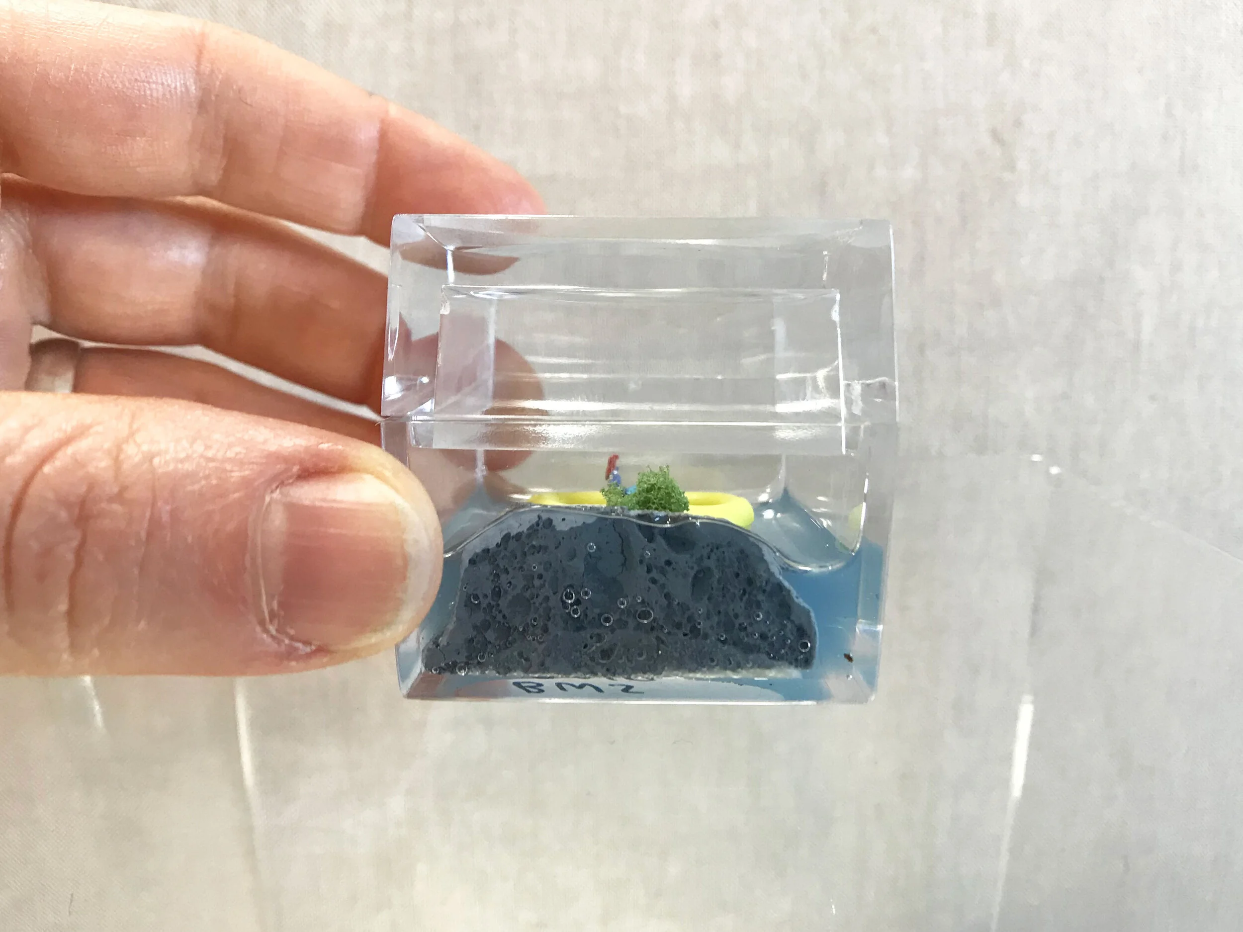 Lonely_Island_Diorama_7_Becky_Wareing_Steele_2_web.jpg