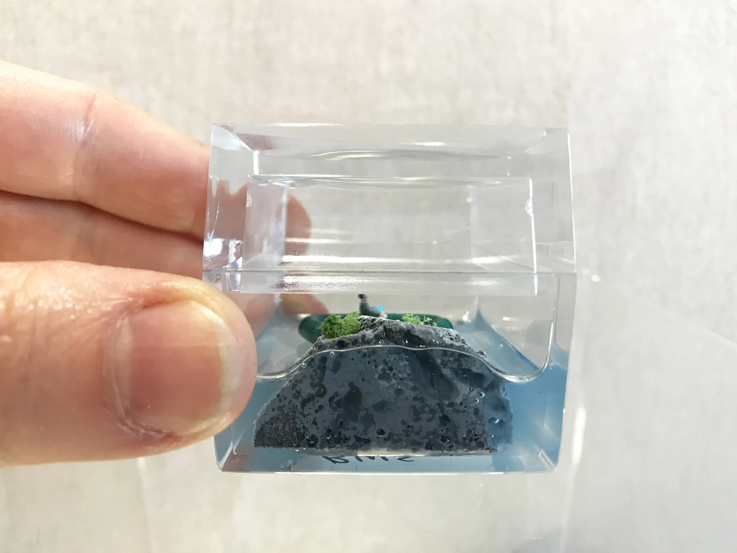 Lonely_Island_Diorama_9_Becky_Wareing_Steele_2_WEB.jpg