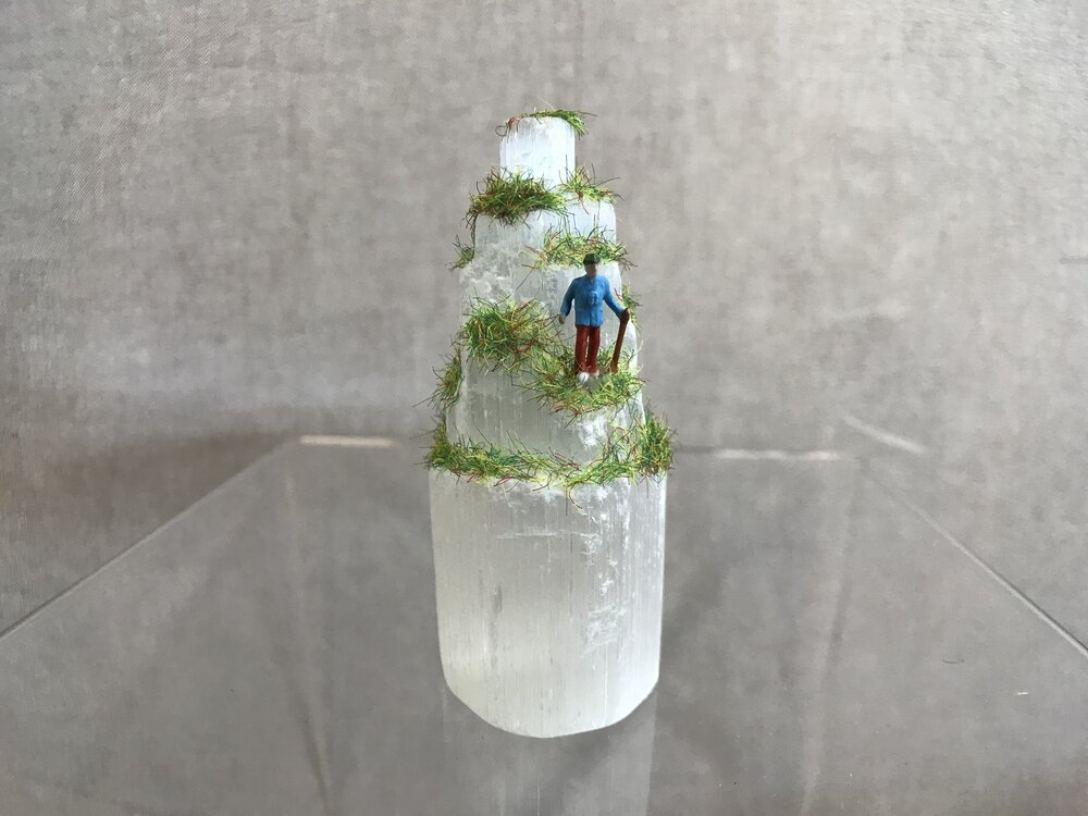 Mini Mossy Selenite Diorama - Walking Stick — Becky Wareing Steele