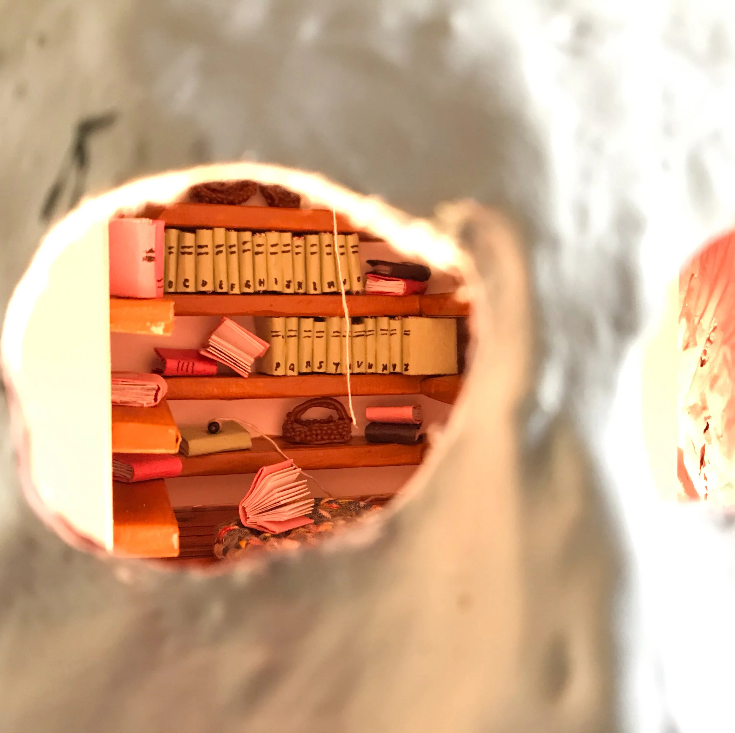 Linen Closet Library.jpg