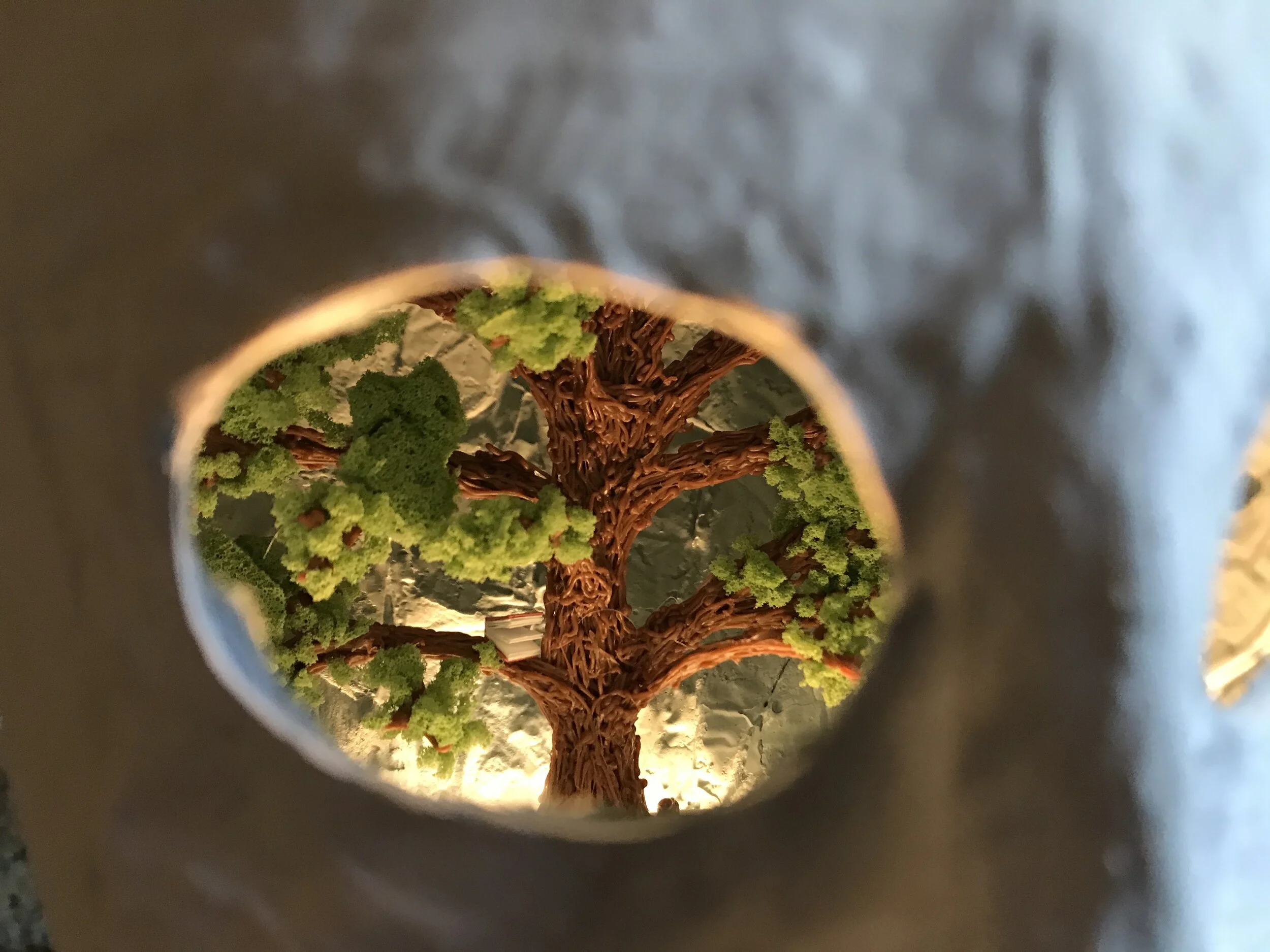 The Reading Tree.jpg