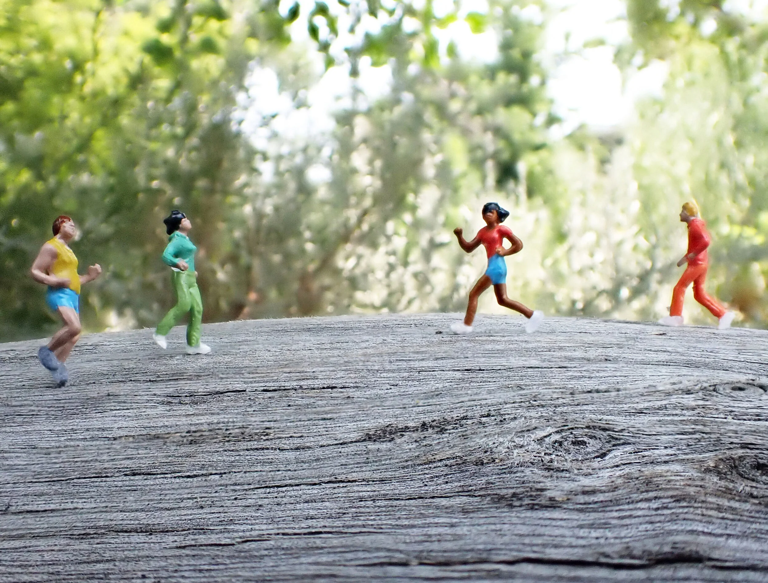 Log-Runners_Becky-Wareing-Steele_2021_web.jpg