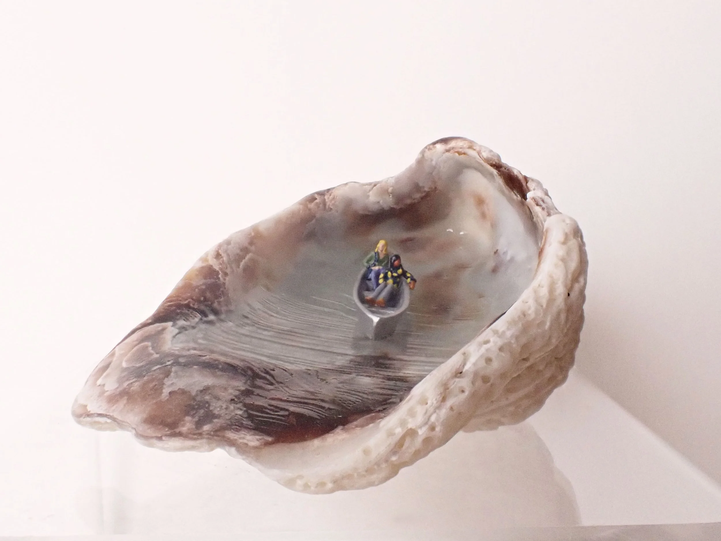 Seashell---1_1.jpg