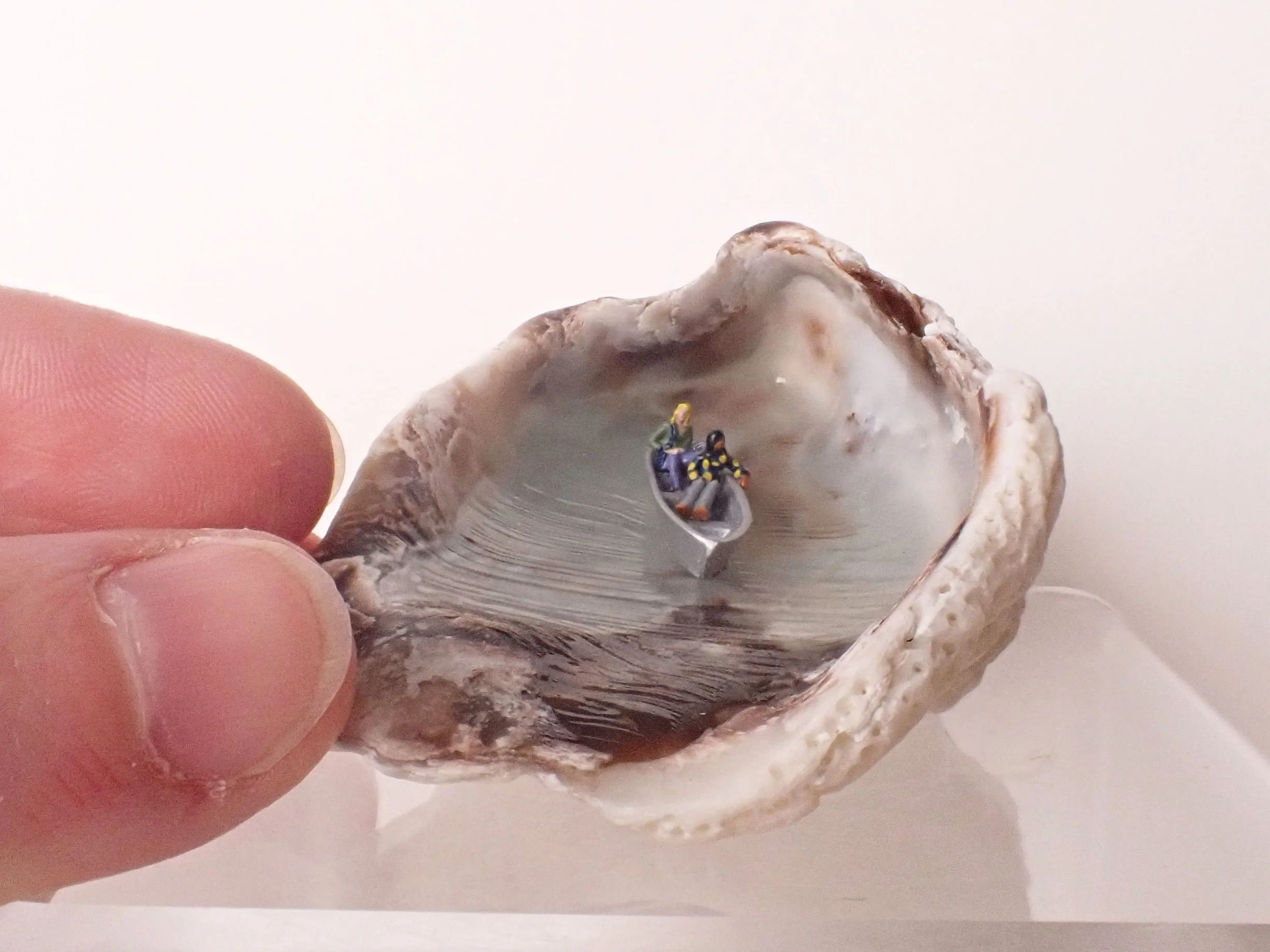 Seashell - 1_9.jpg