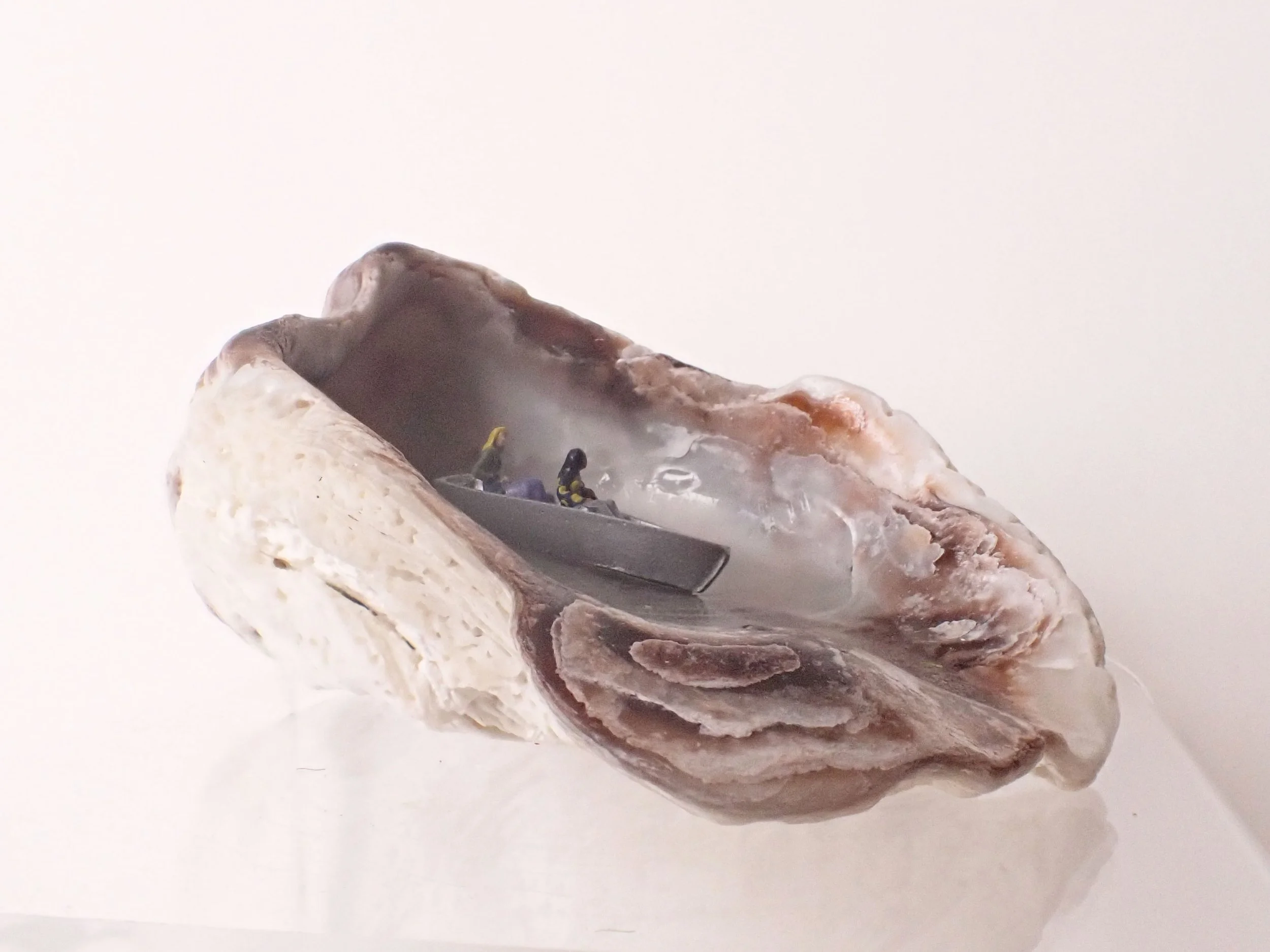 Seashell---1_3.jpg
