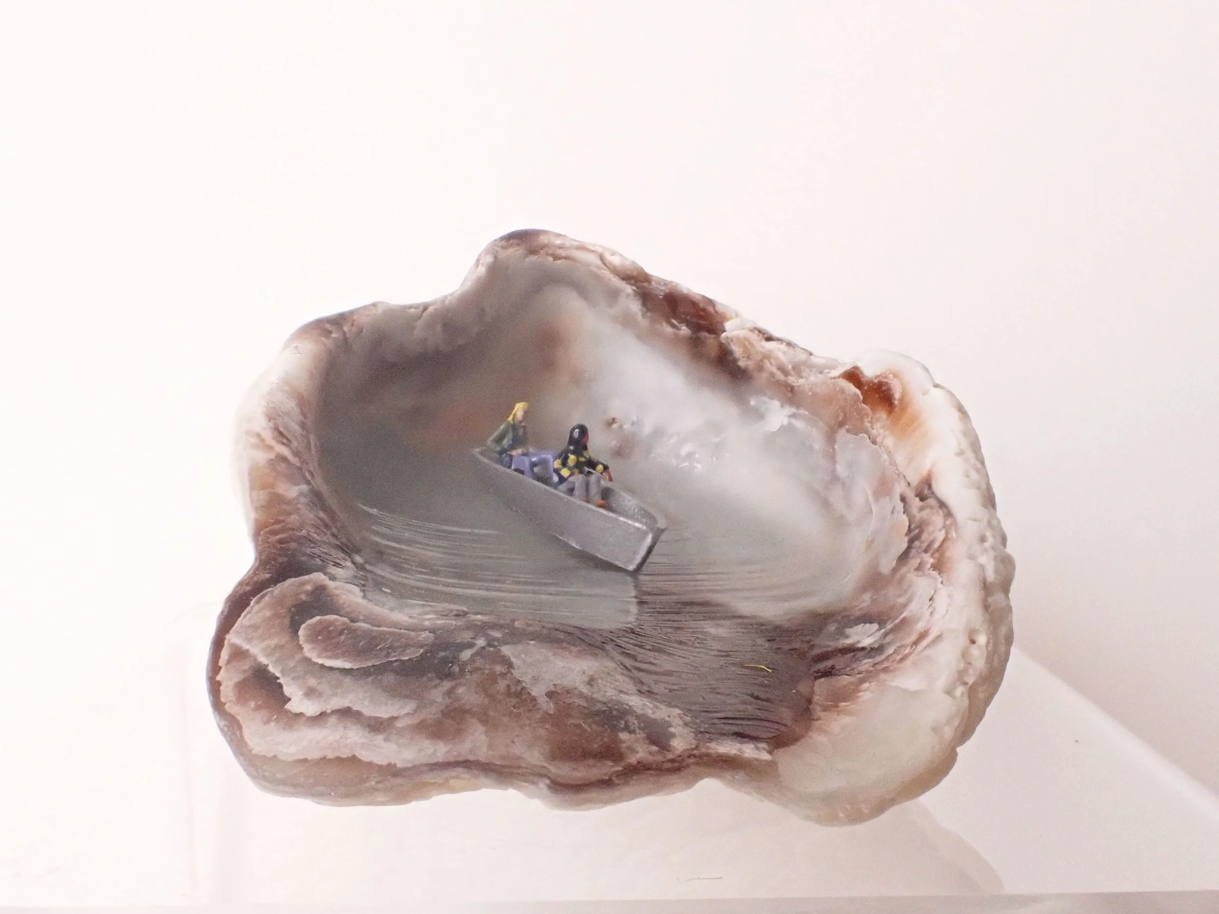 Seashell---1_2.jpg