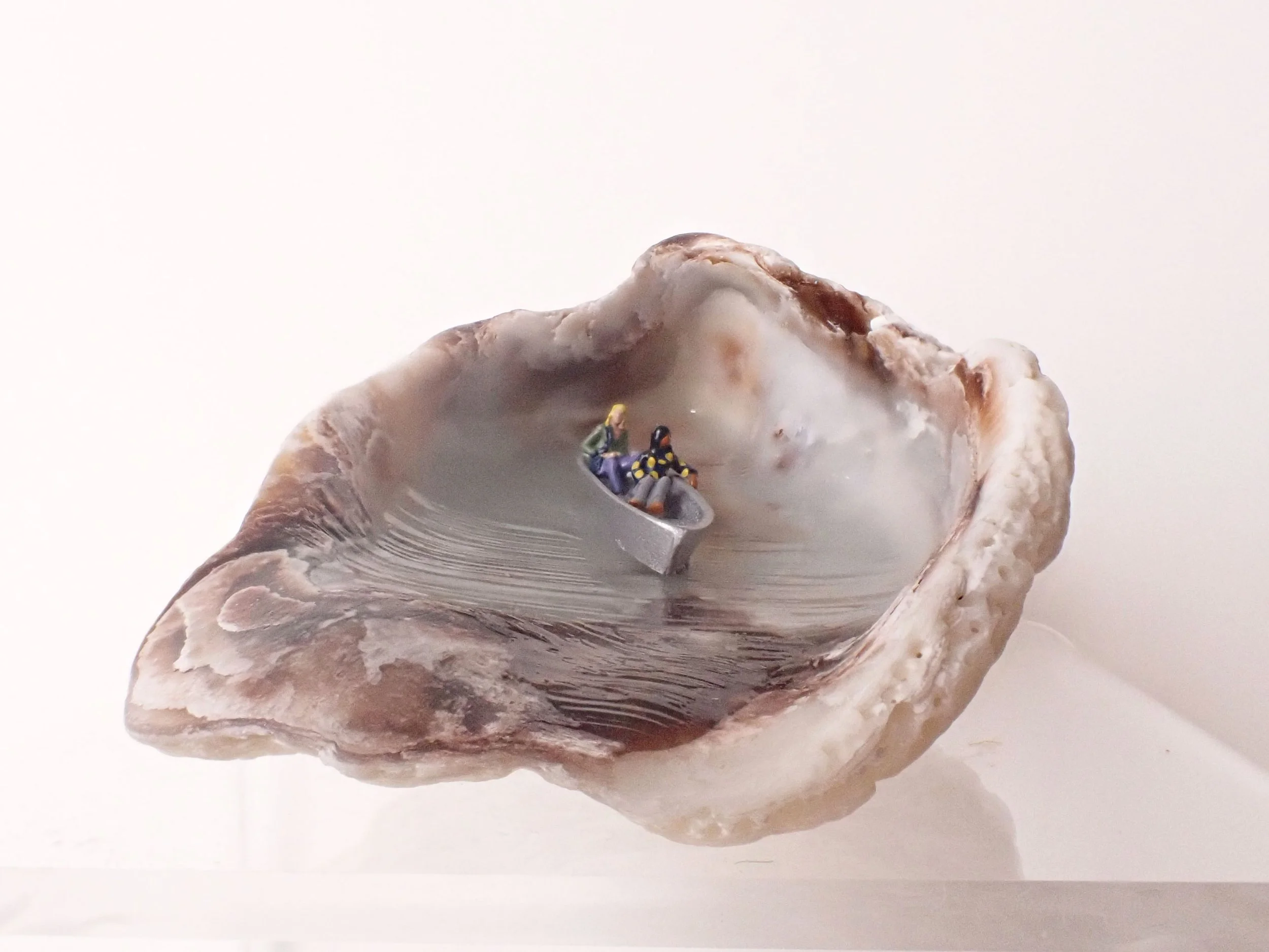 Seashell---1_5.jpg