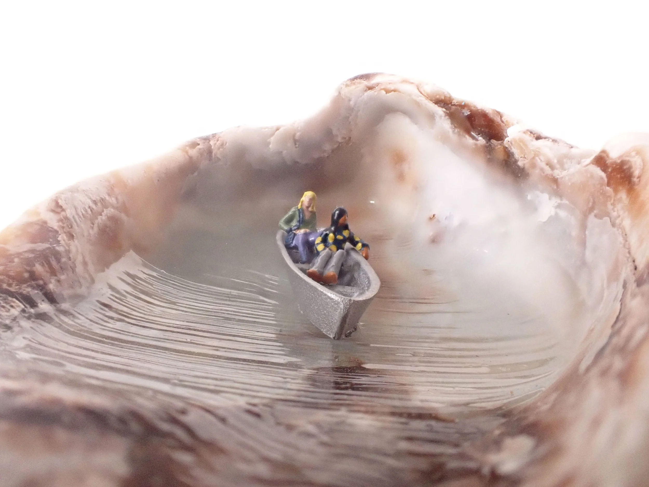 Seashell---1_6.jpg