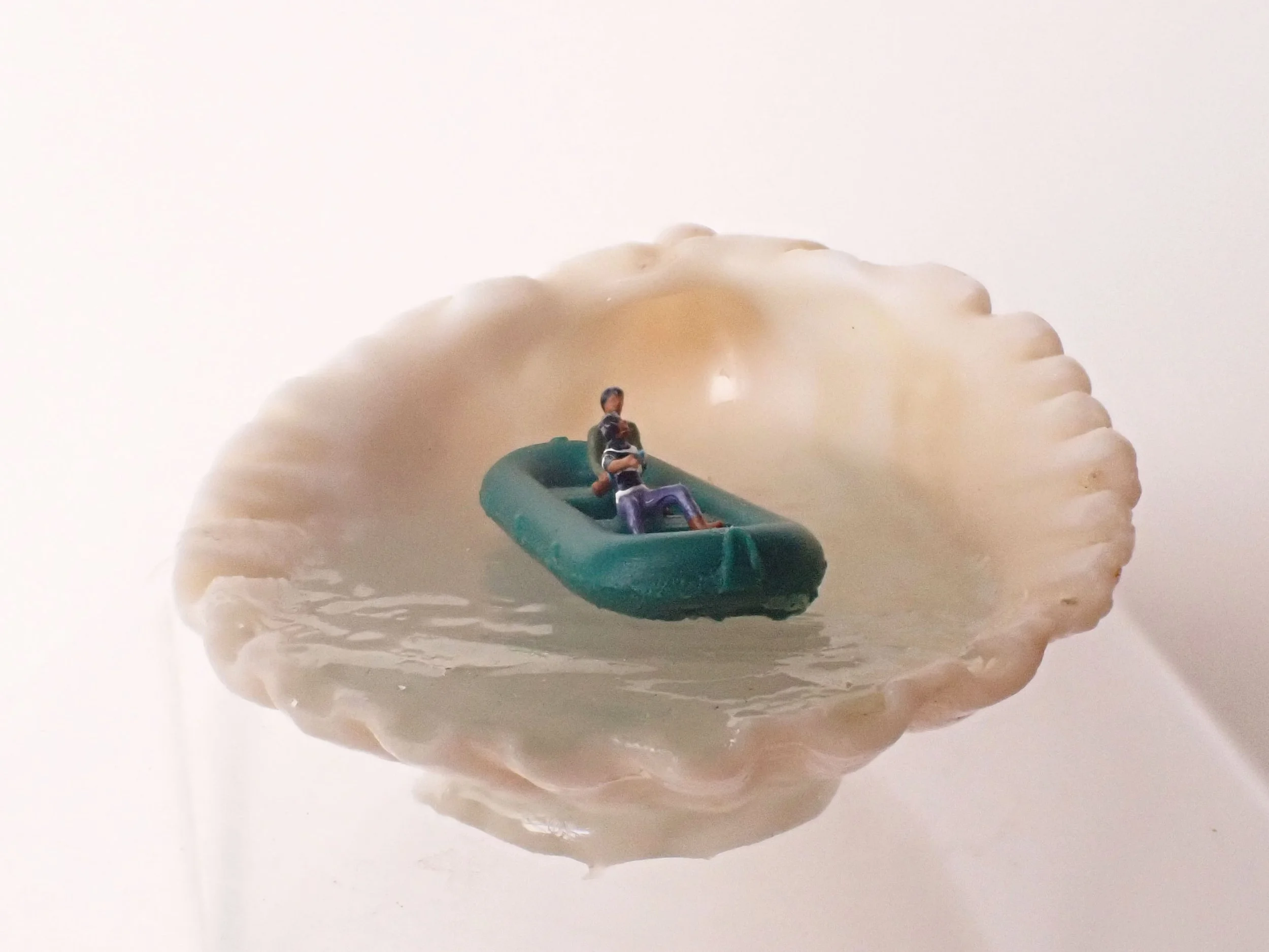 Seashell---2_1.jpg