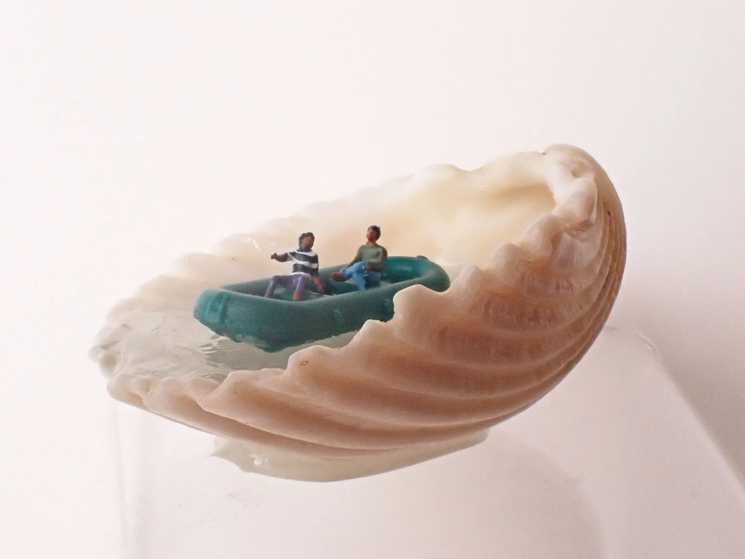 Seashell---2_2.jpg