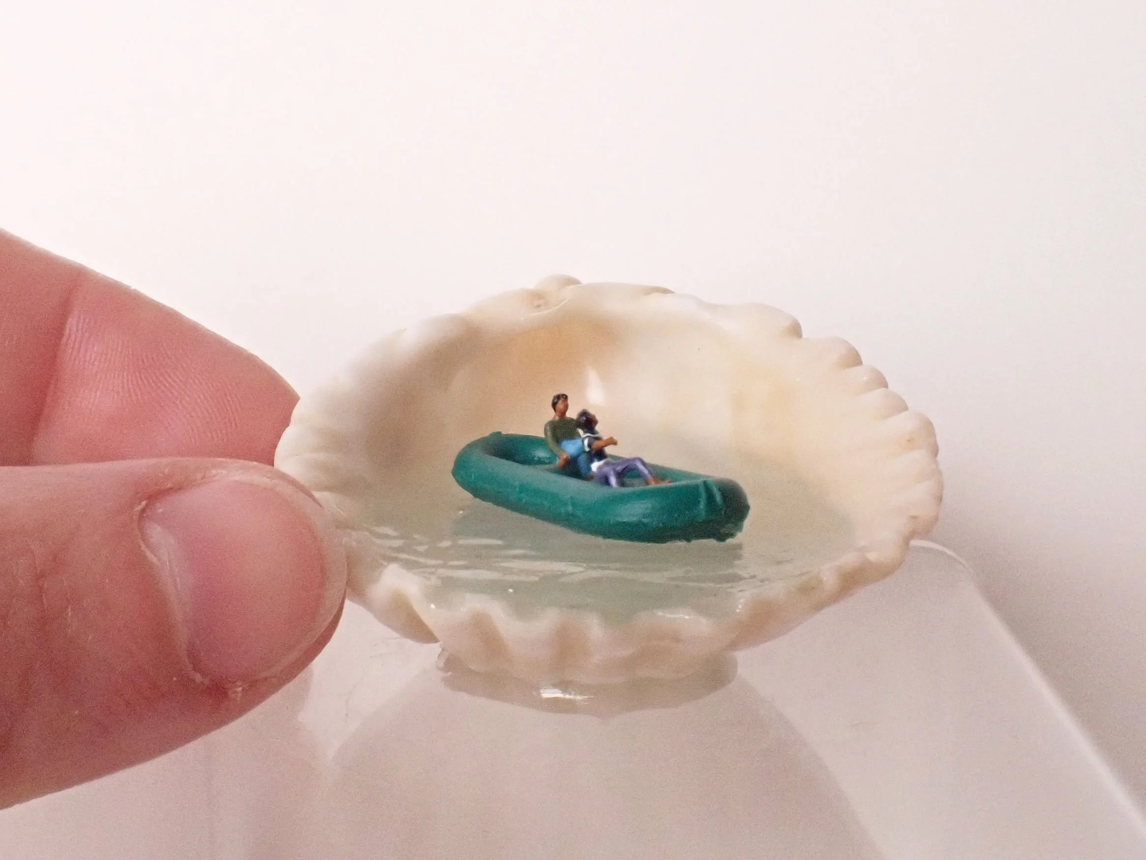 Seashell---2_6.jpg