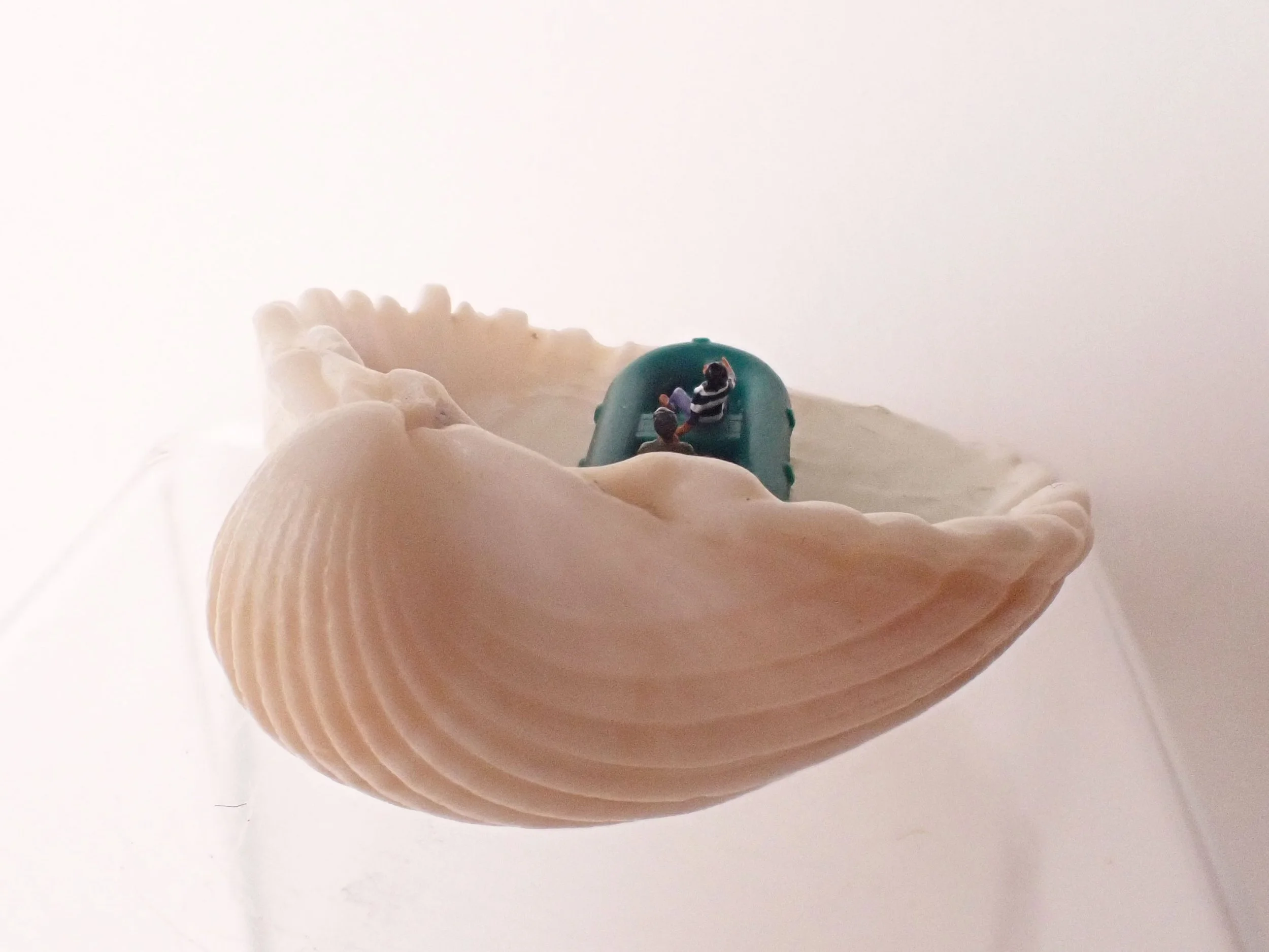 Seashell---2_3.jpg