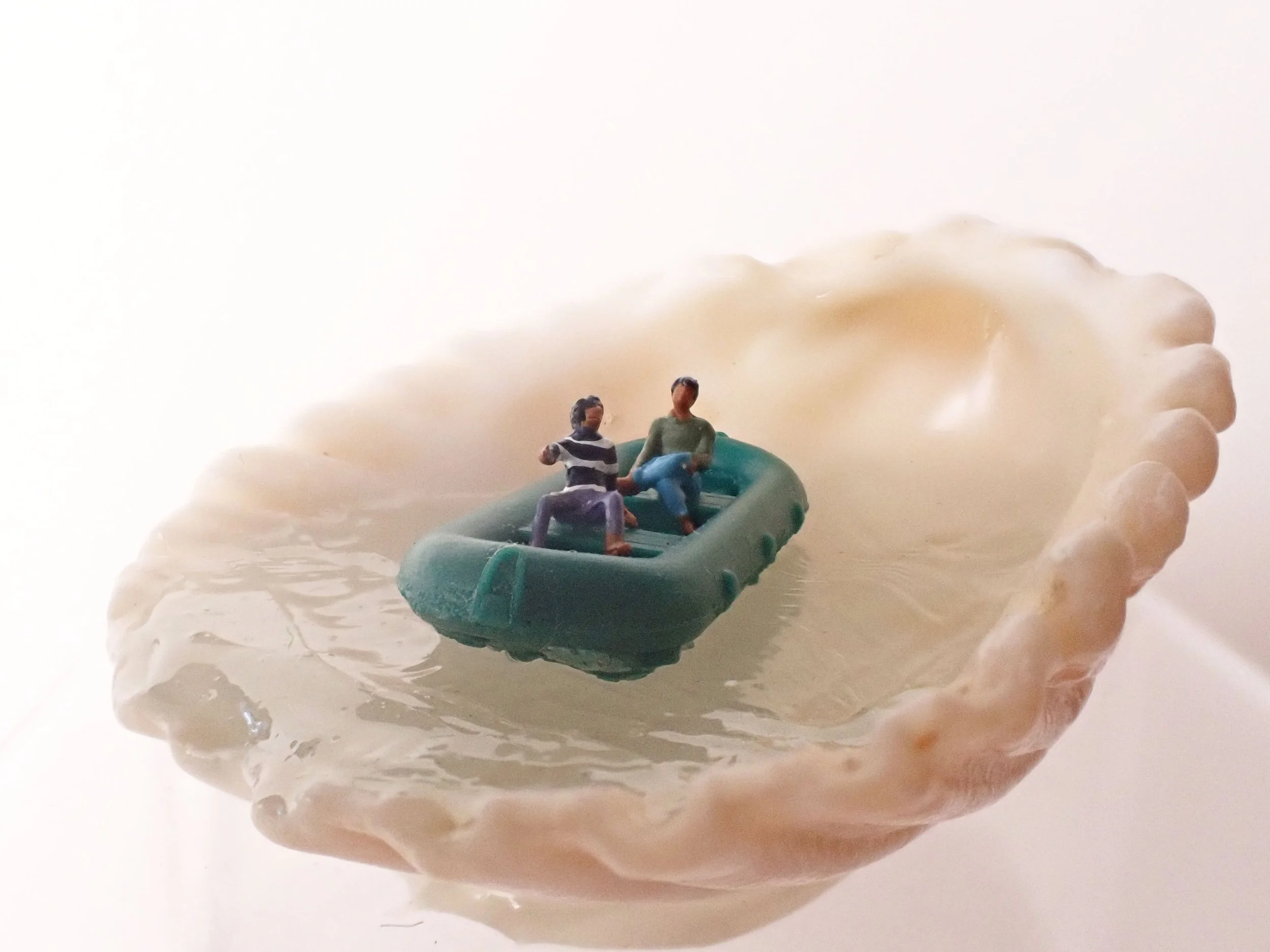 Seashell---2_5.jpg