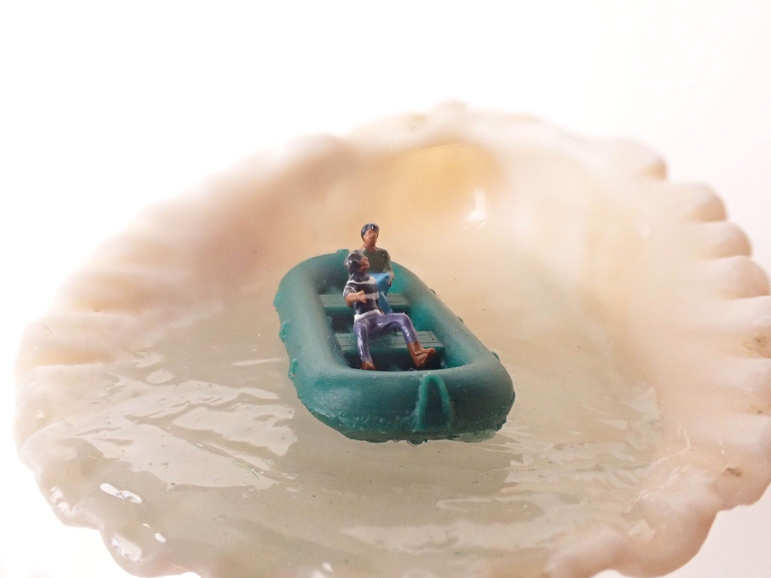 Seashell---2_7.jpg