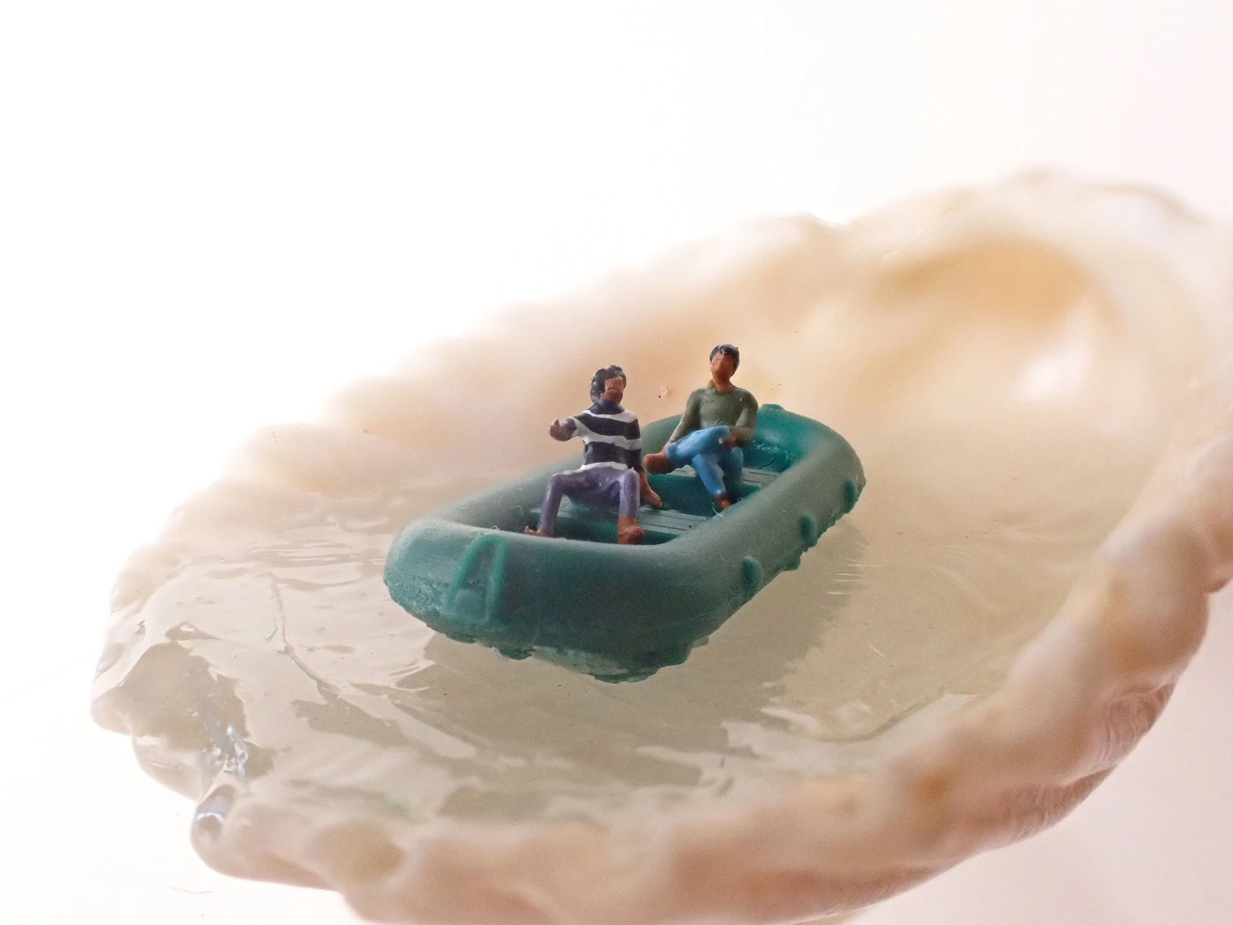 Seashell---2_9.jpg