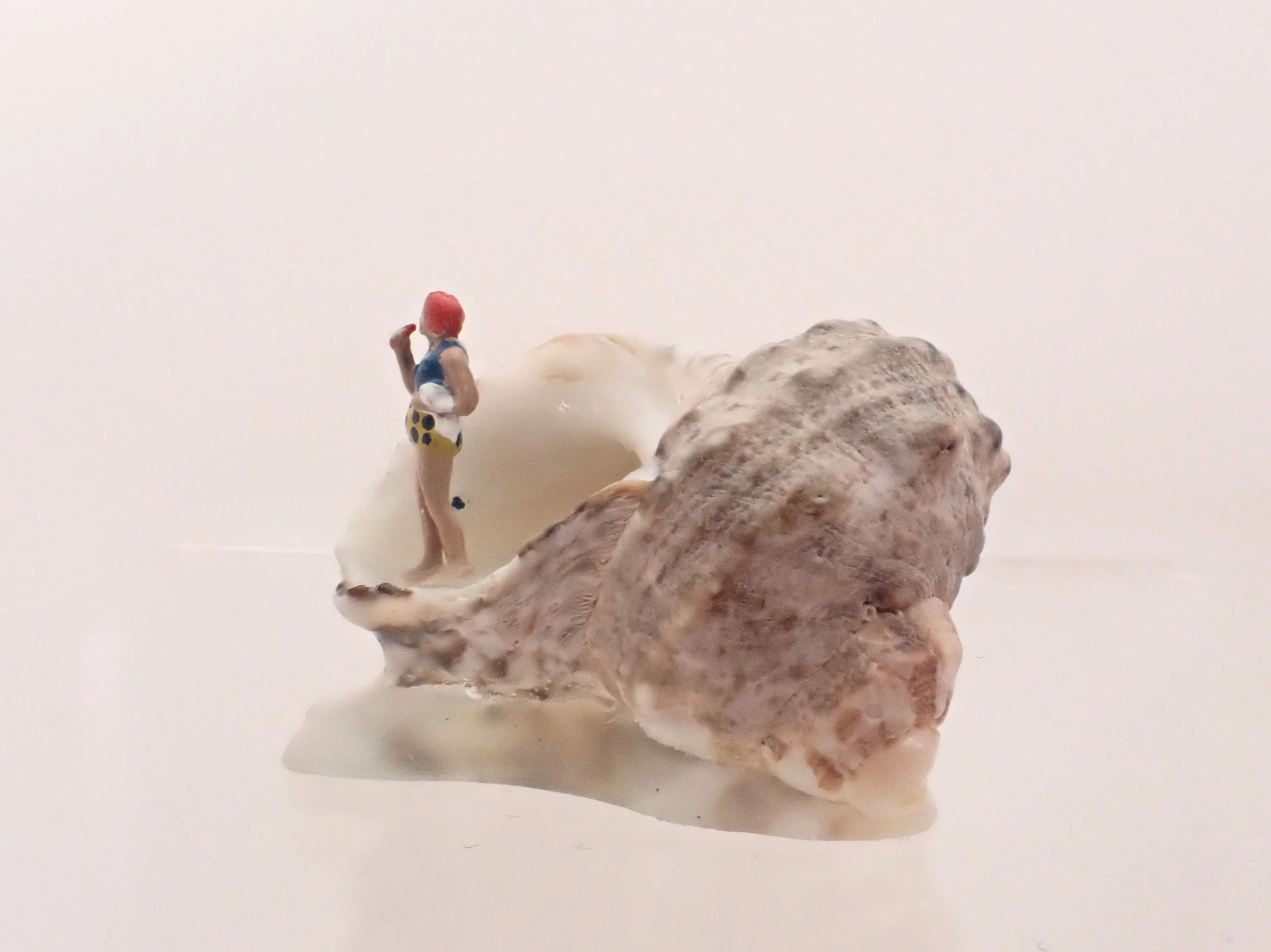 Becky-Wareing-Steele_Cheetah-Navy-Suit_Seashell-Diorama_3_web.jpg