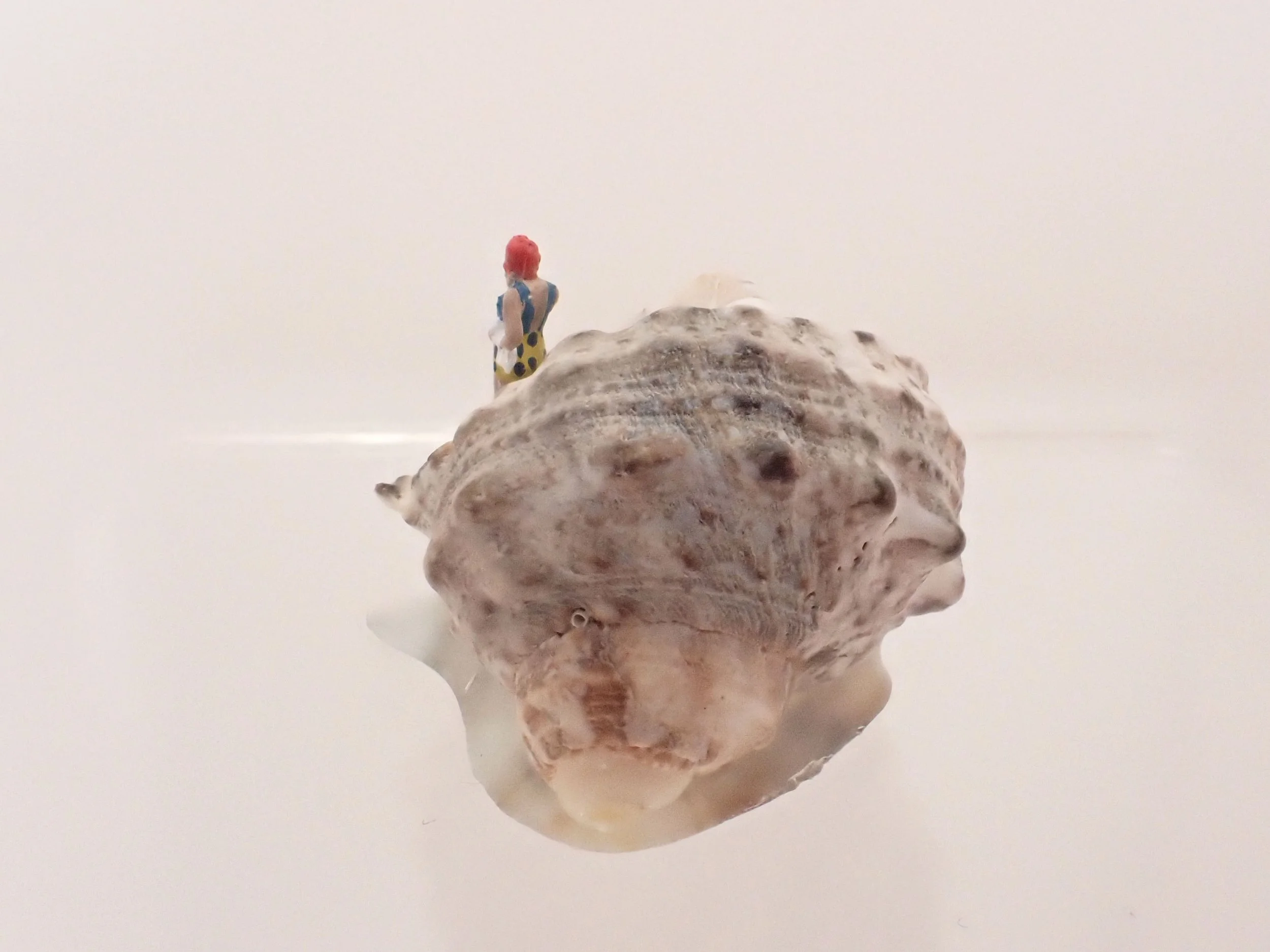 Becky-Wareing-Steele_Cheetah-Navy-Suit_Seashell-Diorama_4_web.jpg