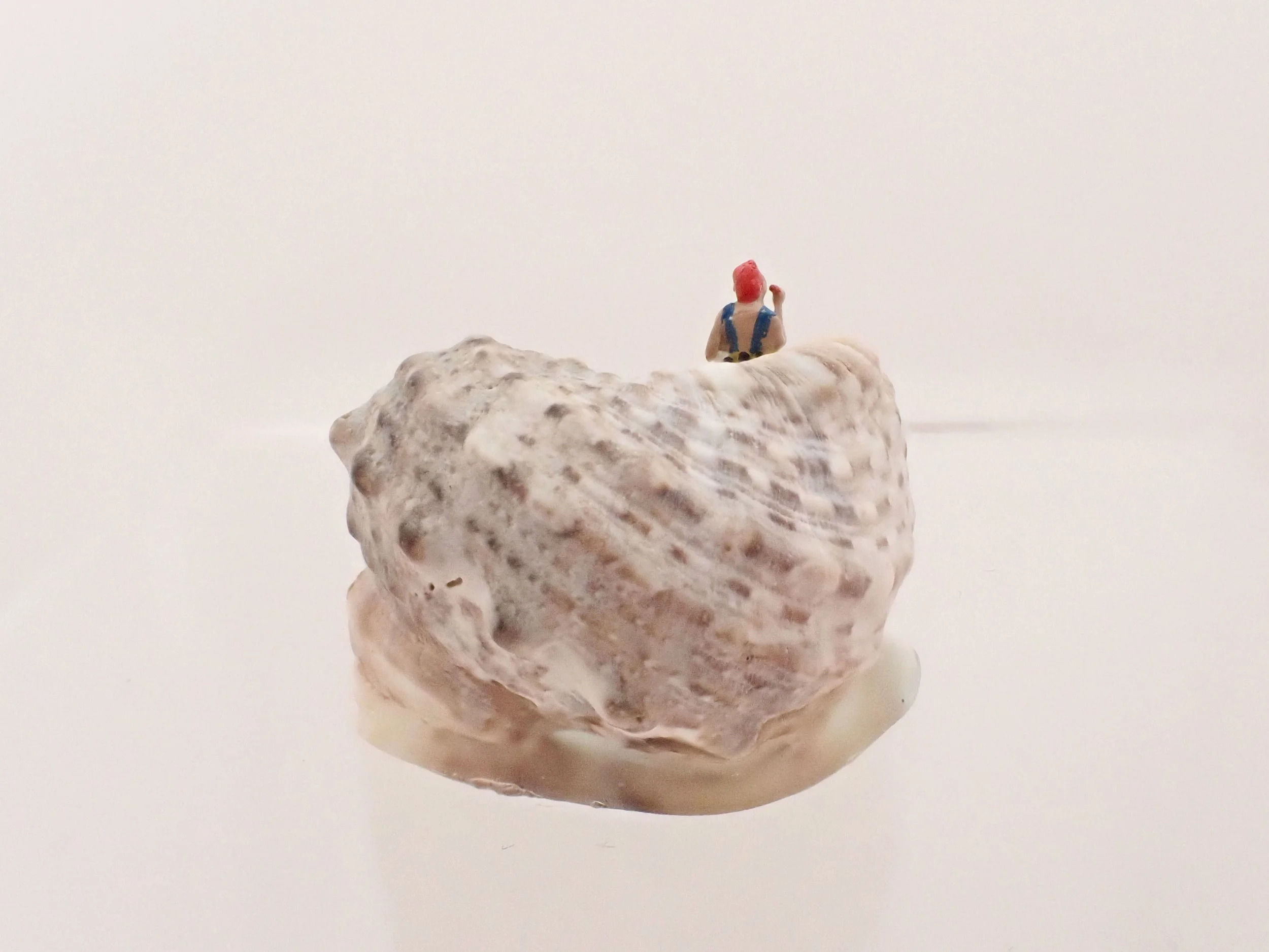Becky-Wareing-Steele_Cheetah-Navy-Suit_Seashell-Diorama_5_web.jpg
