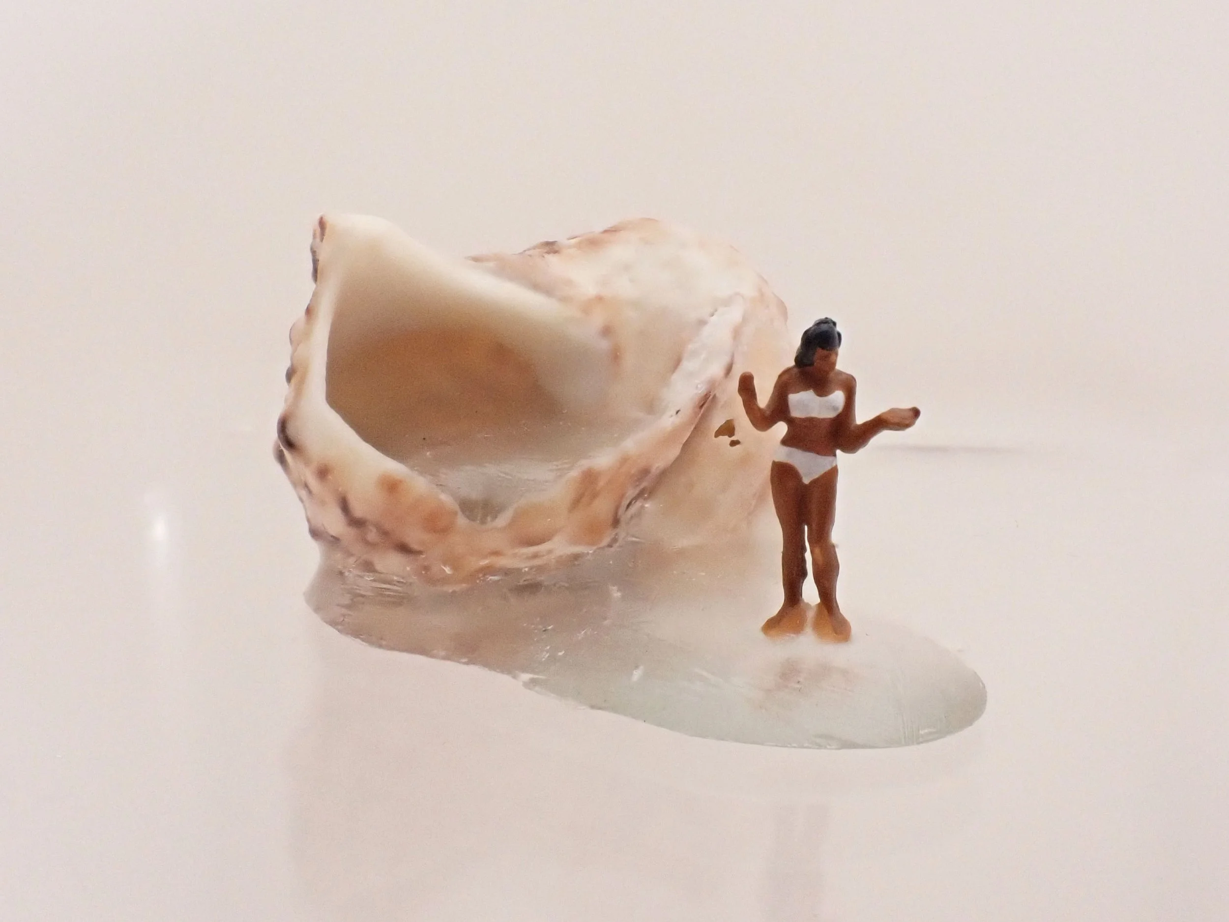 Becky-Wareing-Steele_White-Bikini_Seashell-Diorama_1_web.jpg