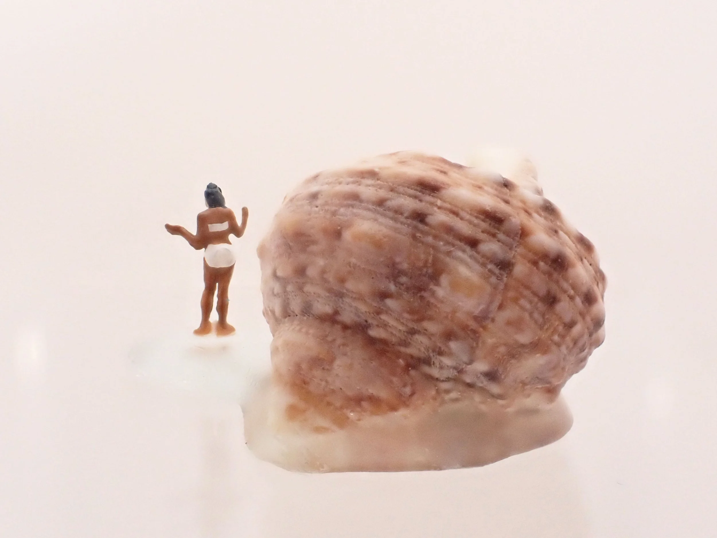 Becky-Wareing-Steele_White-Bikini_Seashell-Diorama_4_web.jpg