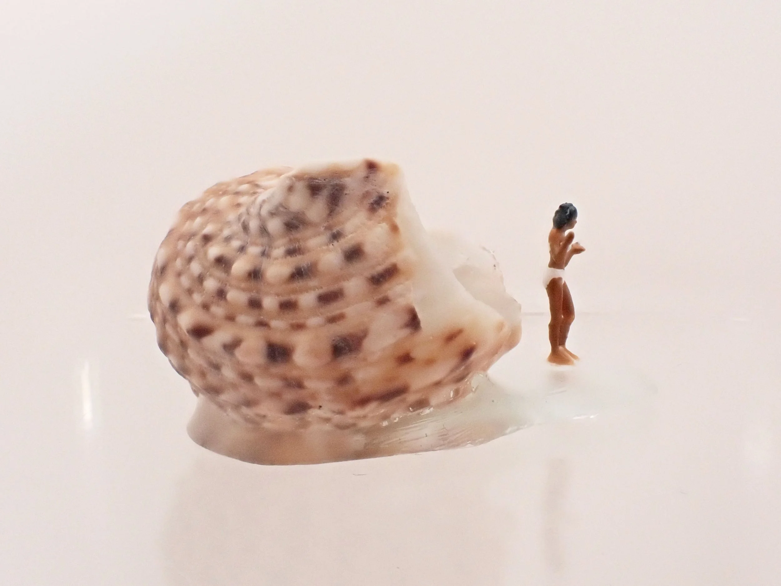 Becky-Wareing-Steele_White-Bikini_Seashell-Diorama_5_web.jpg