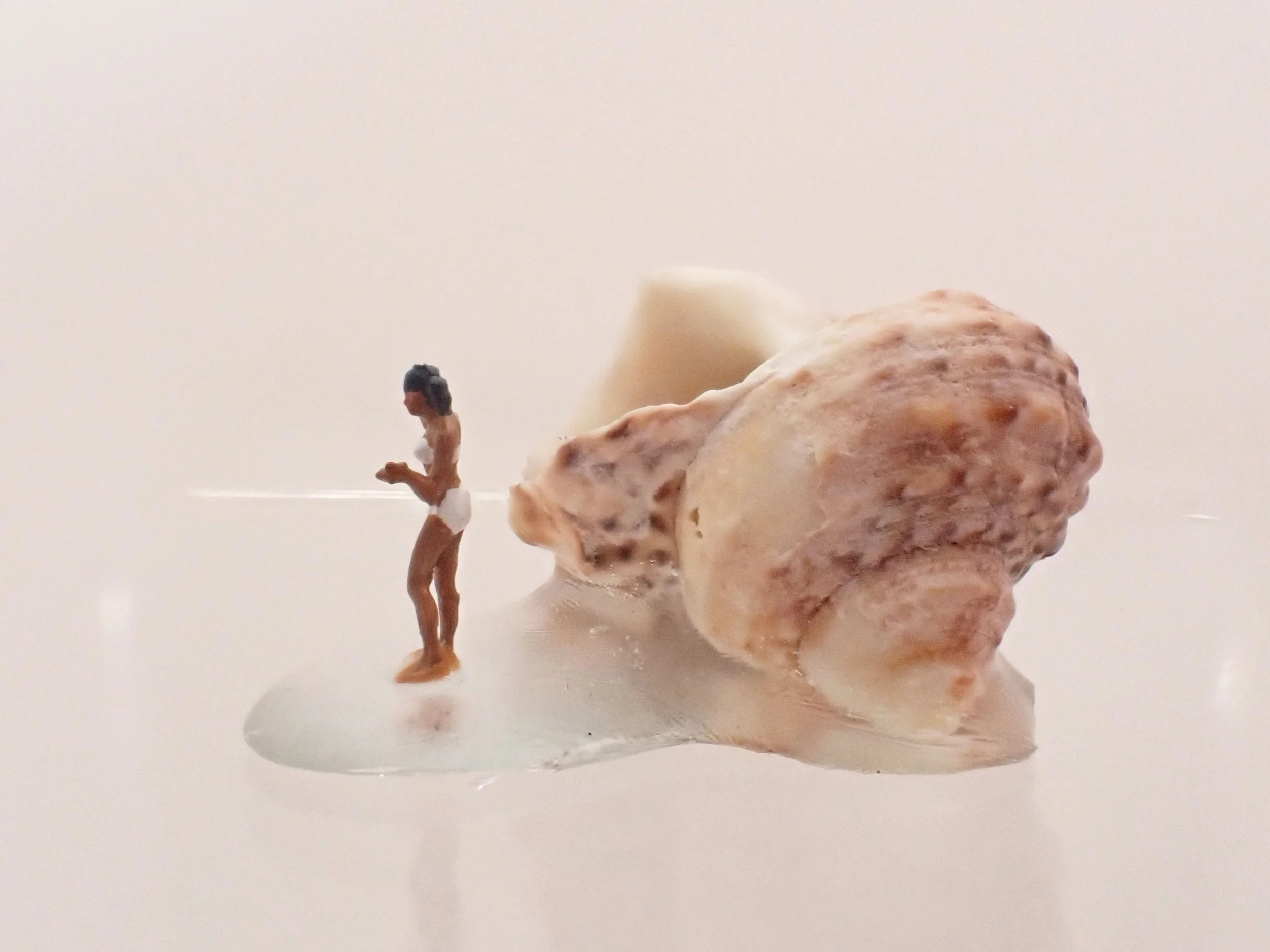 Becky-Wareing-Steele_White-Bikini_Seashell-Diorama_3_web.jpg