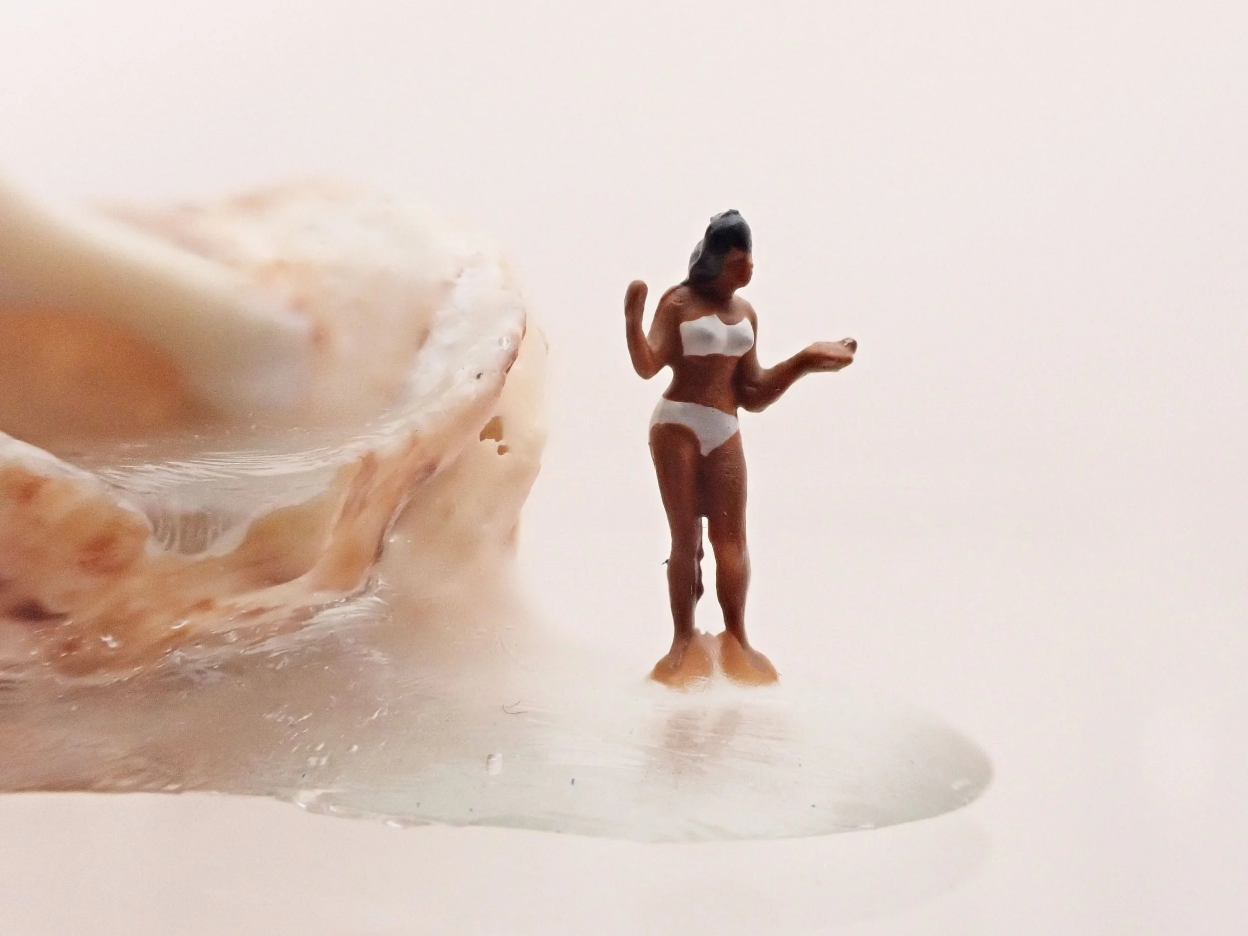 Becky-Wareing-Steele_White-Bikini_Seashell-Diorama_7_web.jpg