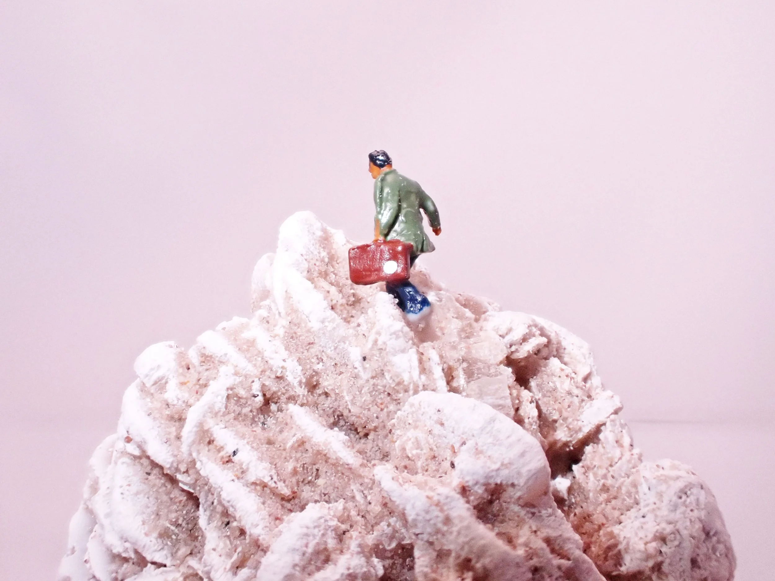 Desert-Rose-Diorama_1_Becky-Wareing-Steele_2.jpg