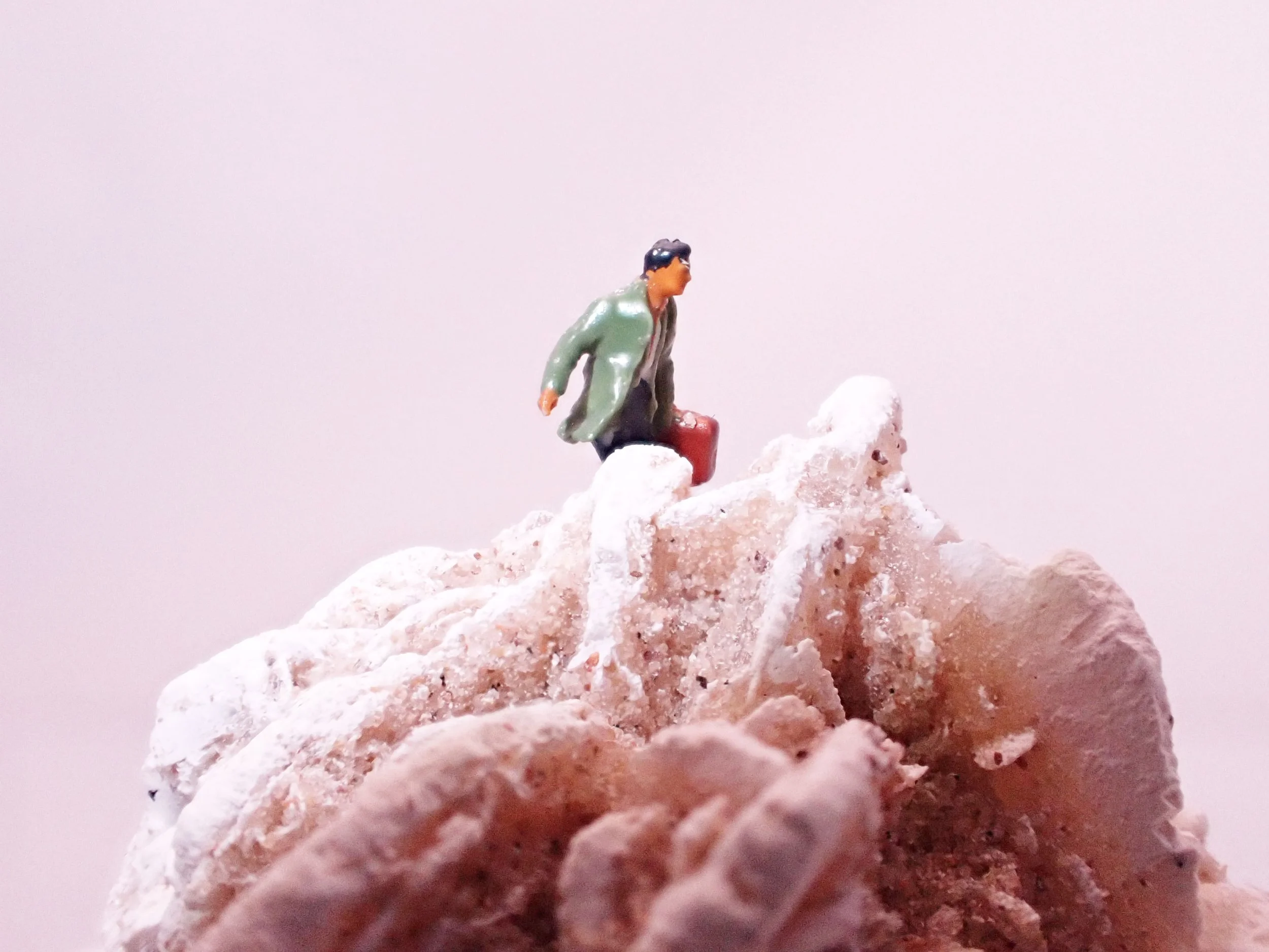 Desert-Rose-Diorama_1_Becky-Wareing-Steele_3.jpg