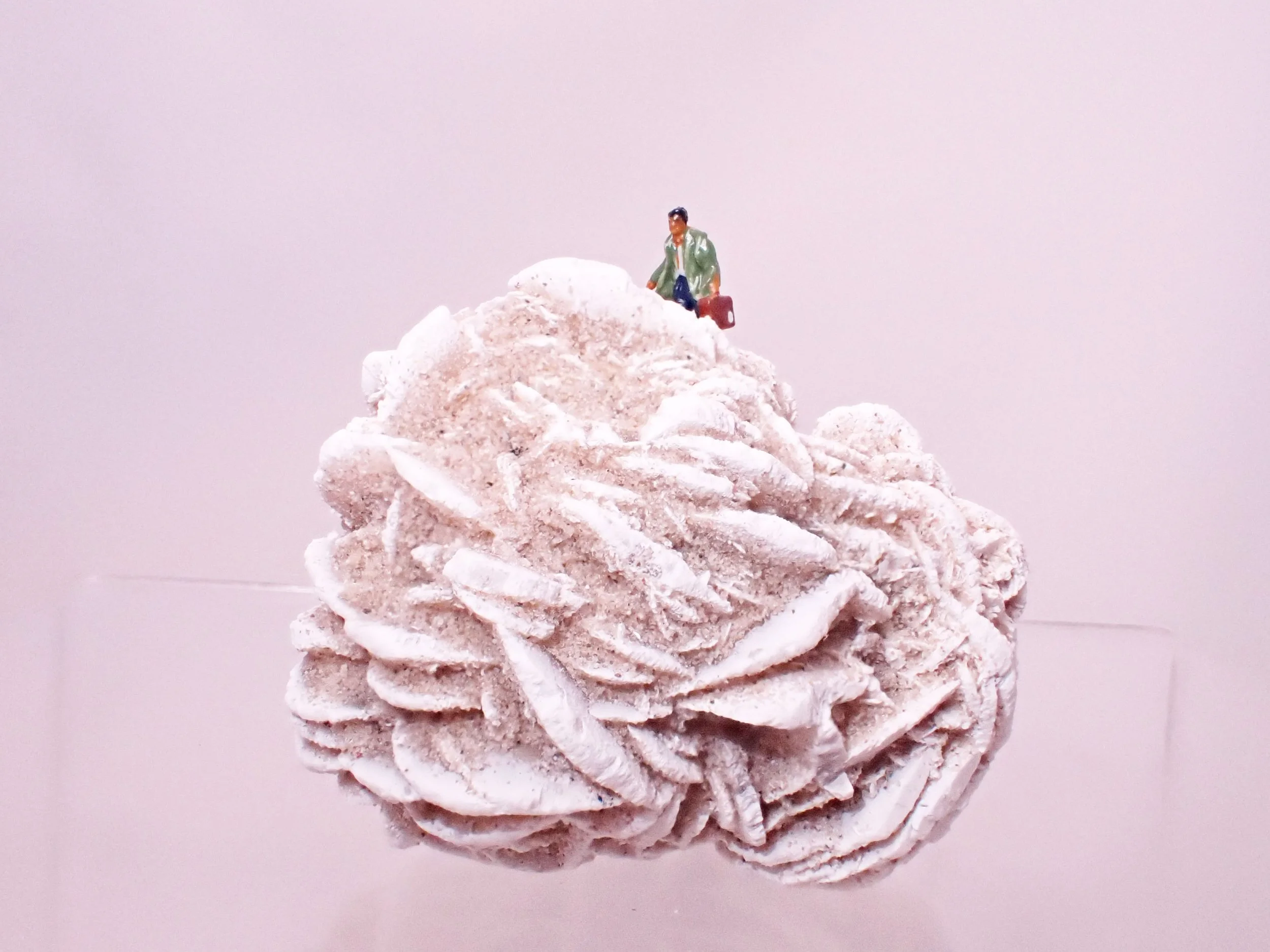 Desert-Rose-Diorama_1_Becky-Wareing-Steele_4.jpg