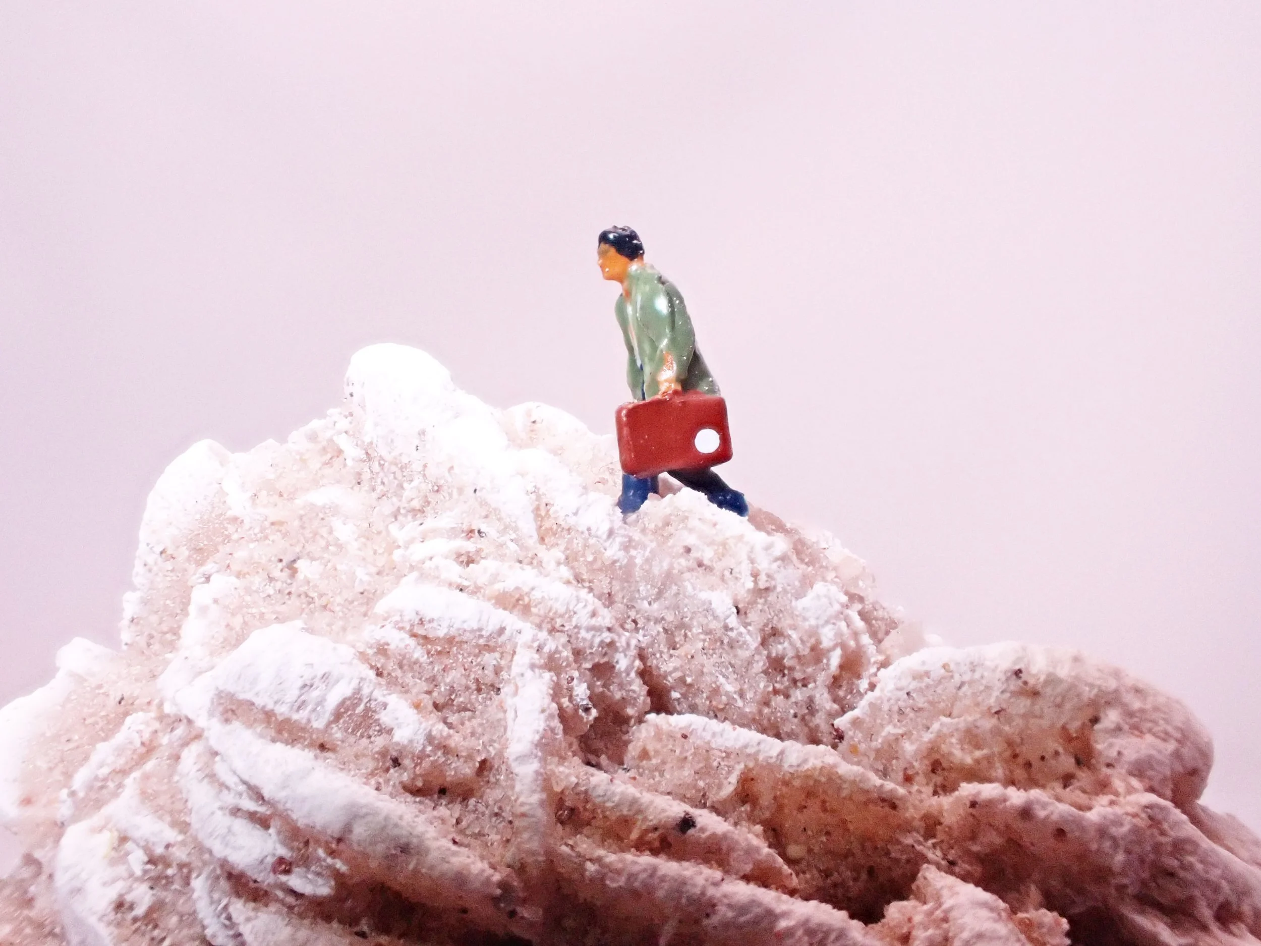 Desert-Rose-Diorama_1_Becky-Wareing-Steele_1_web.jpg