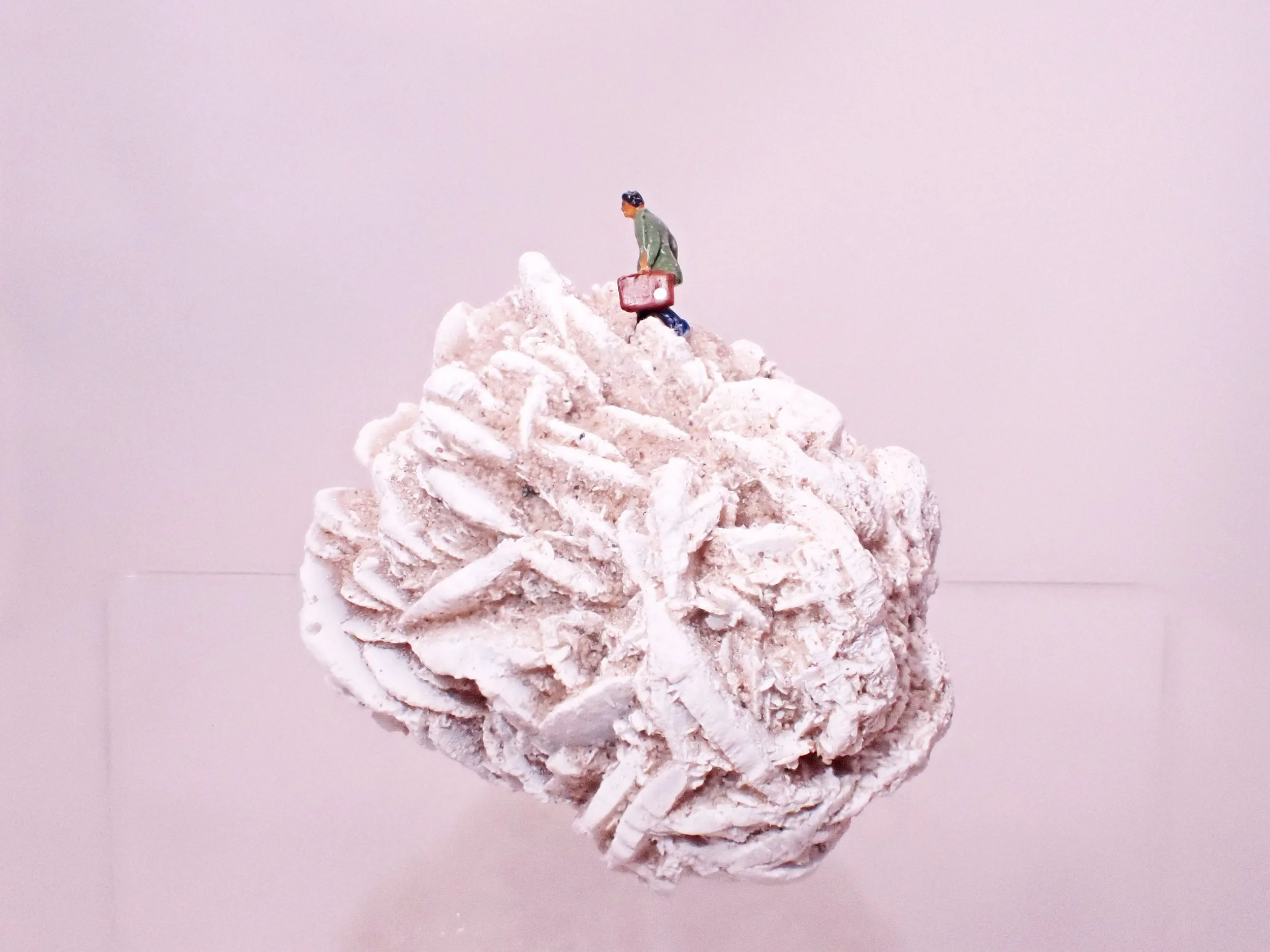 Desert-Rose-Diorama_1_Becky-Wareing-Steele_5.jpg