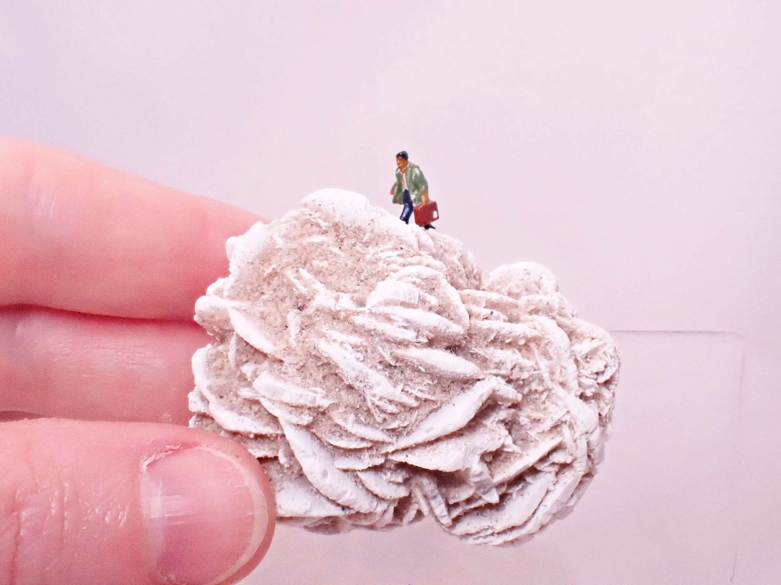 Desert-Rose-Diorama_1_Becky-Wareing-Steele_8.jpg