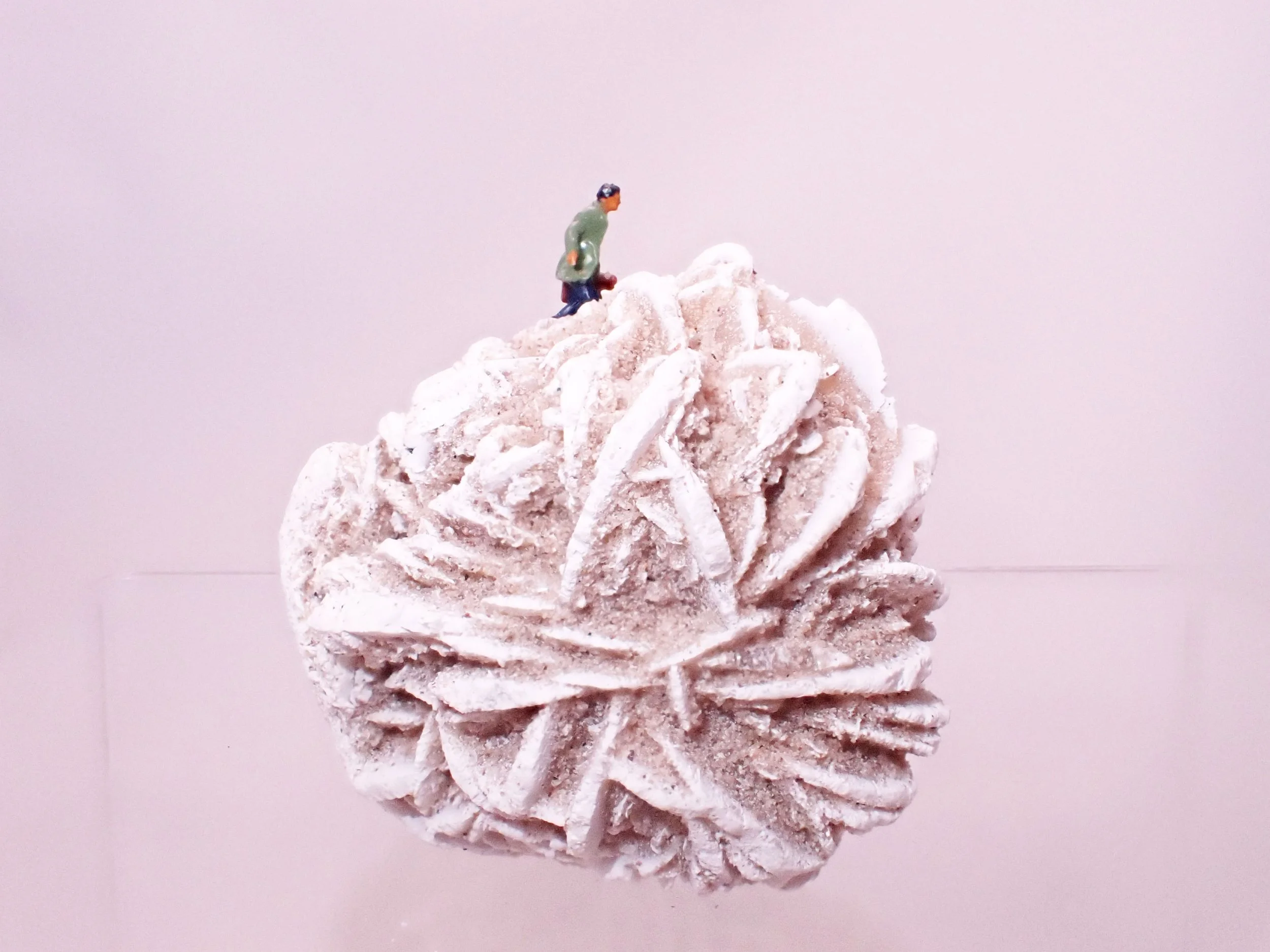 Desert-Rose-Diorama_1_Becky-Wareing-Steele_7.jpg
