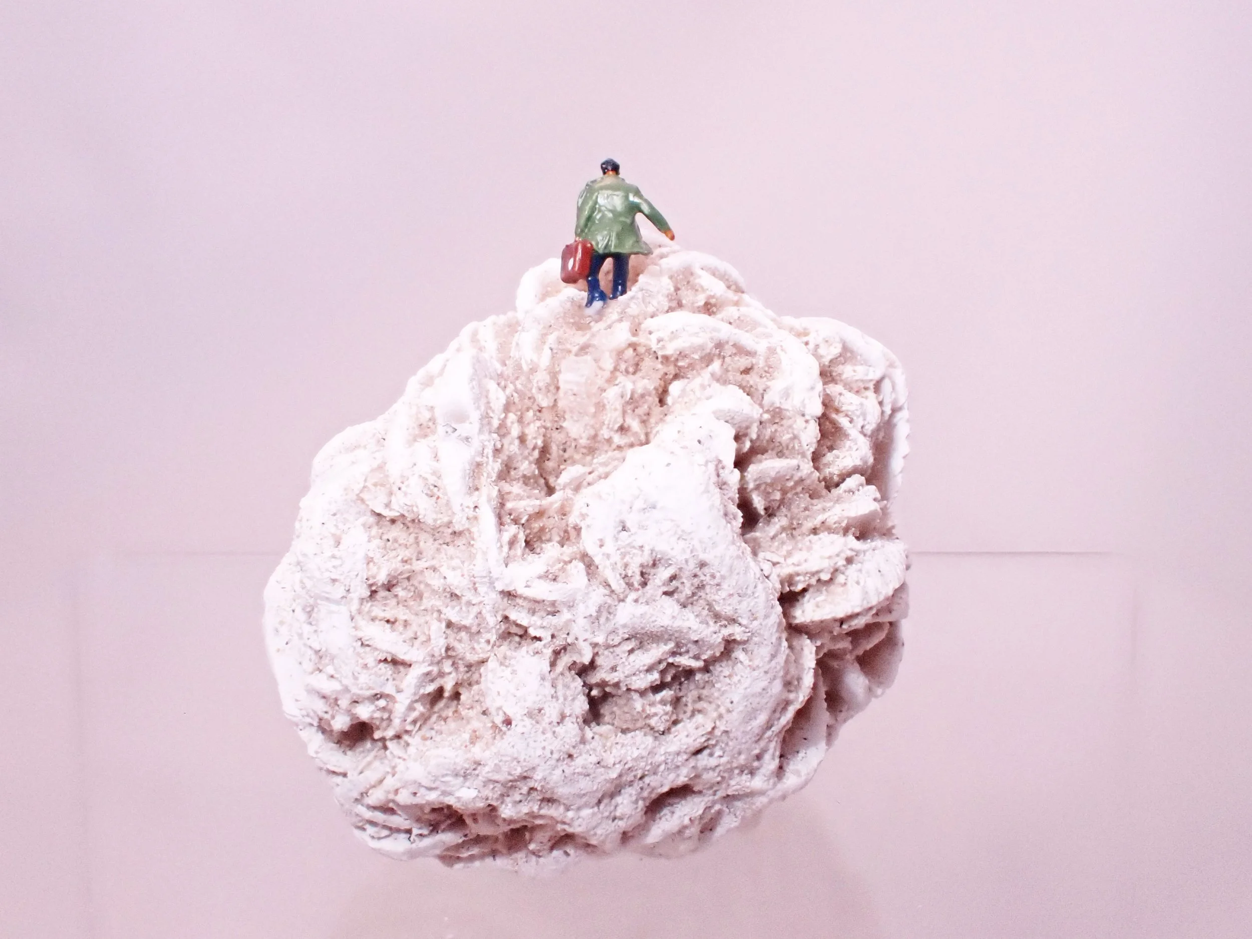 Desert-Rose-Diorama_1_Becky-Wareing-Steele_6.jpg