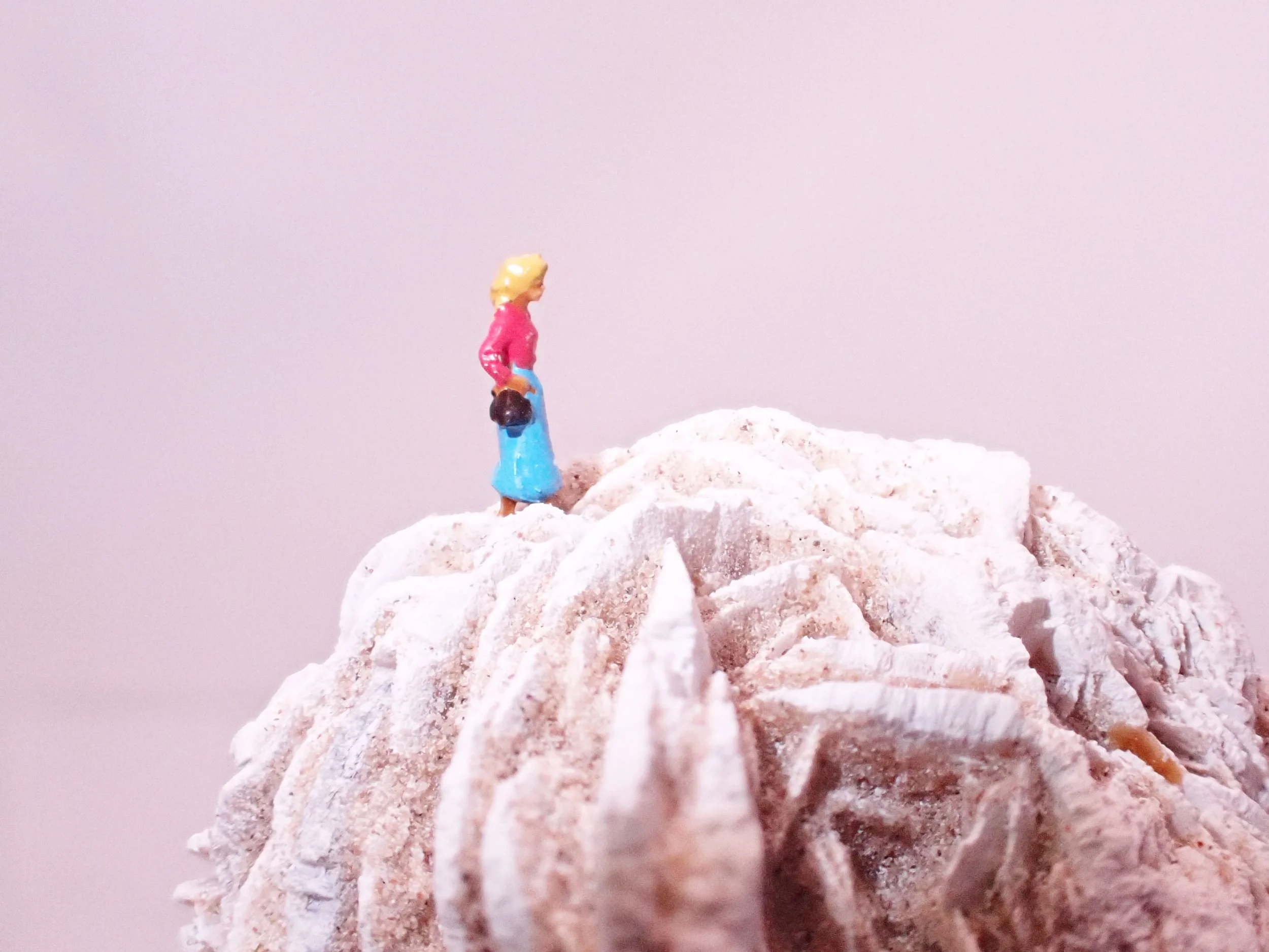 Desert-Rose-Diorama_2_Becky-Wareing-Steele_2_web.jpg
