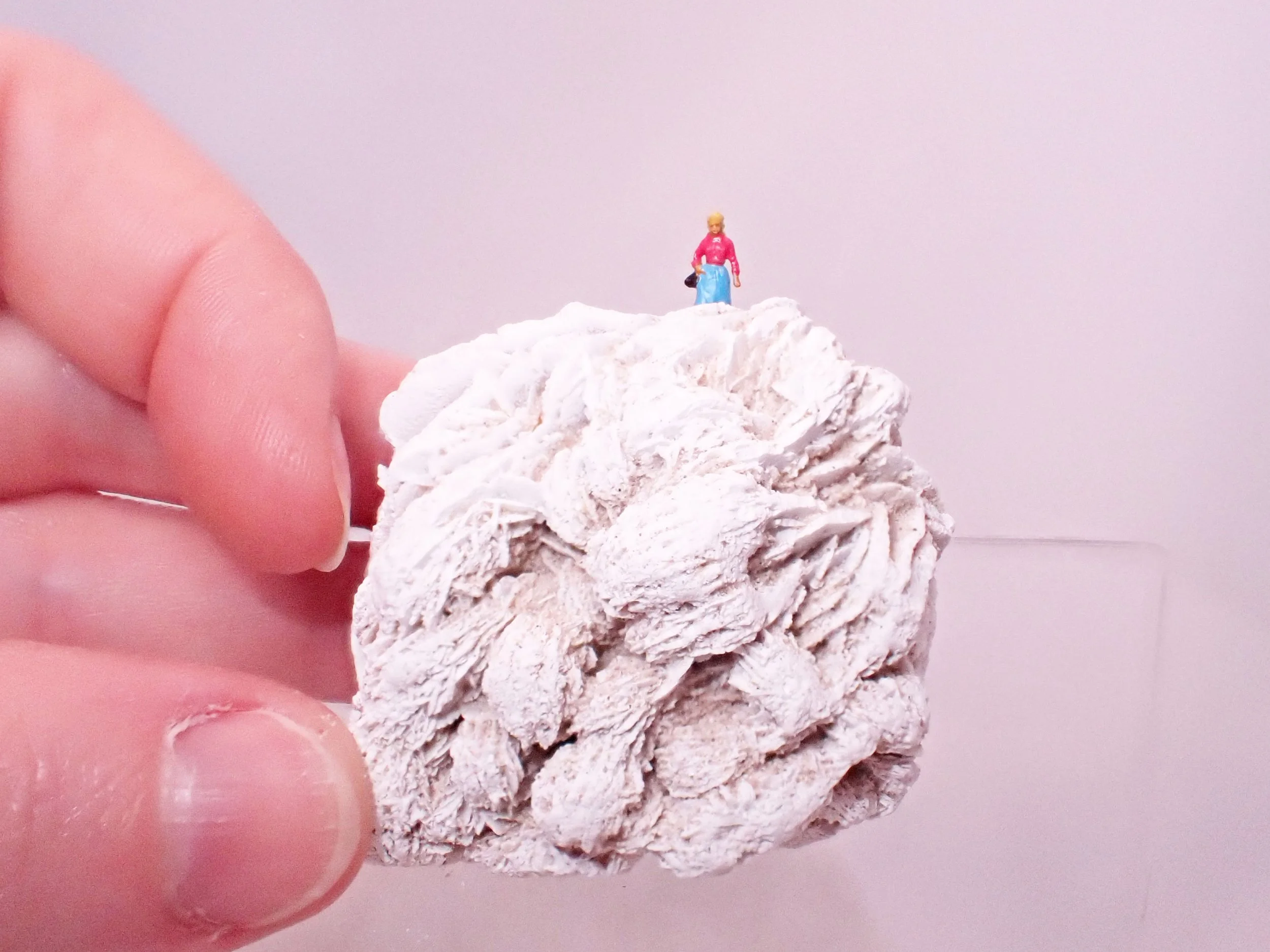 Desert-Rose-Diorama_2_Becky-Wareing-Steele_1_web.jpg