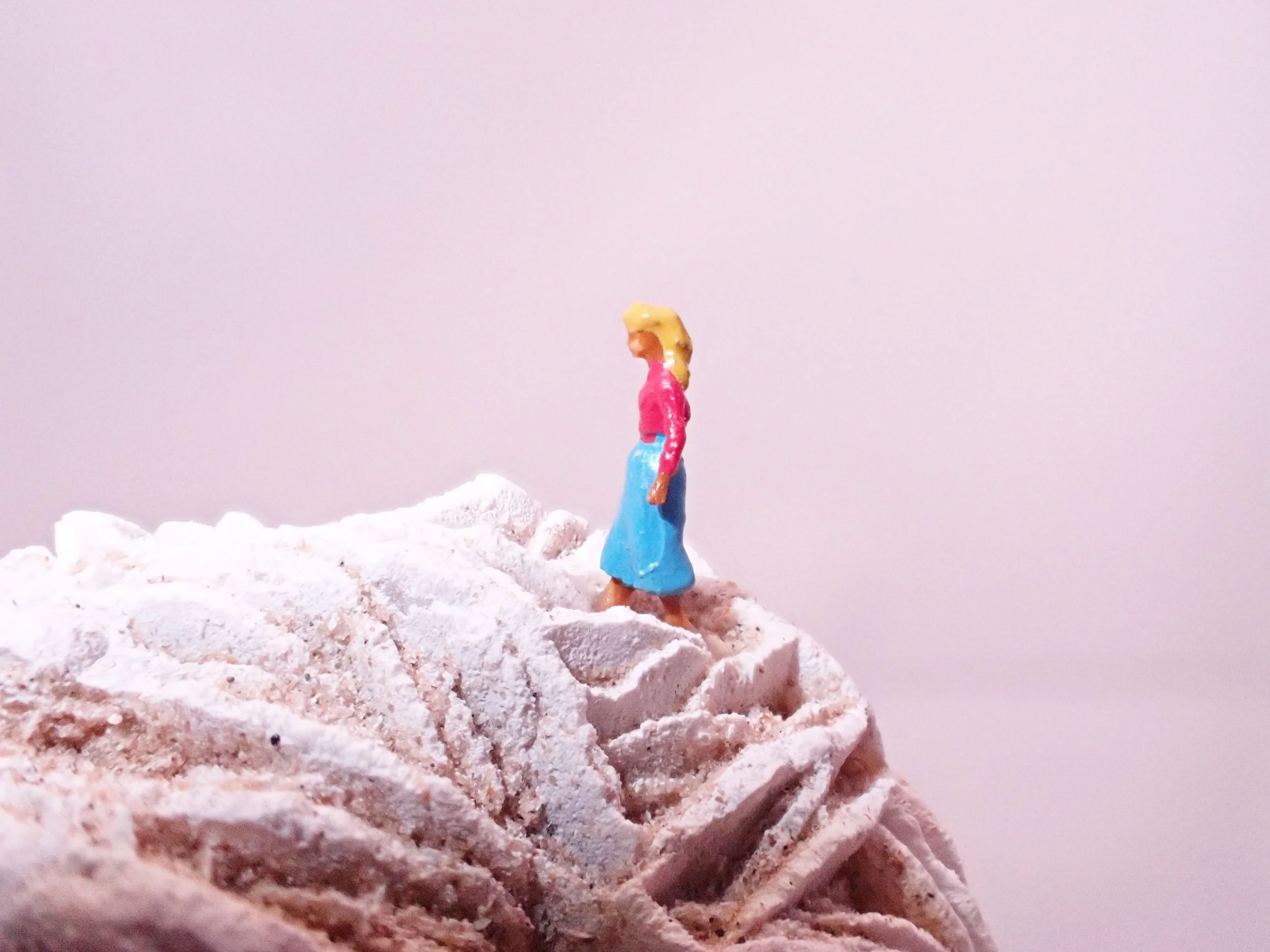 Desert-Rose-Diorama_2_Becky-Wareing-Steele_4_web.jpg