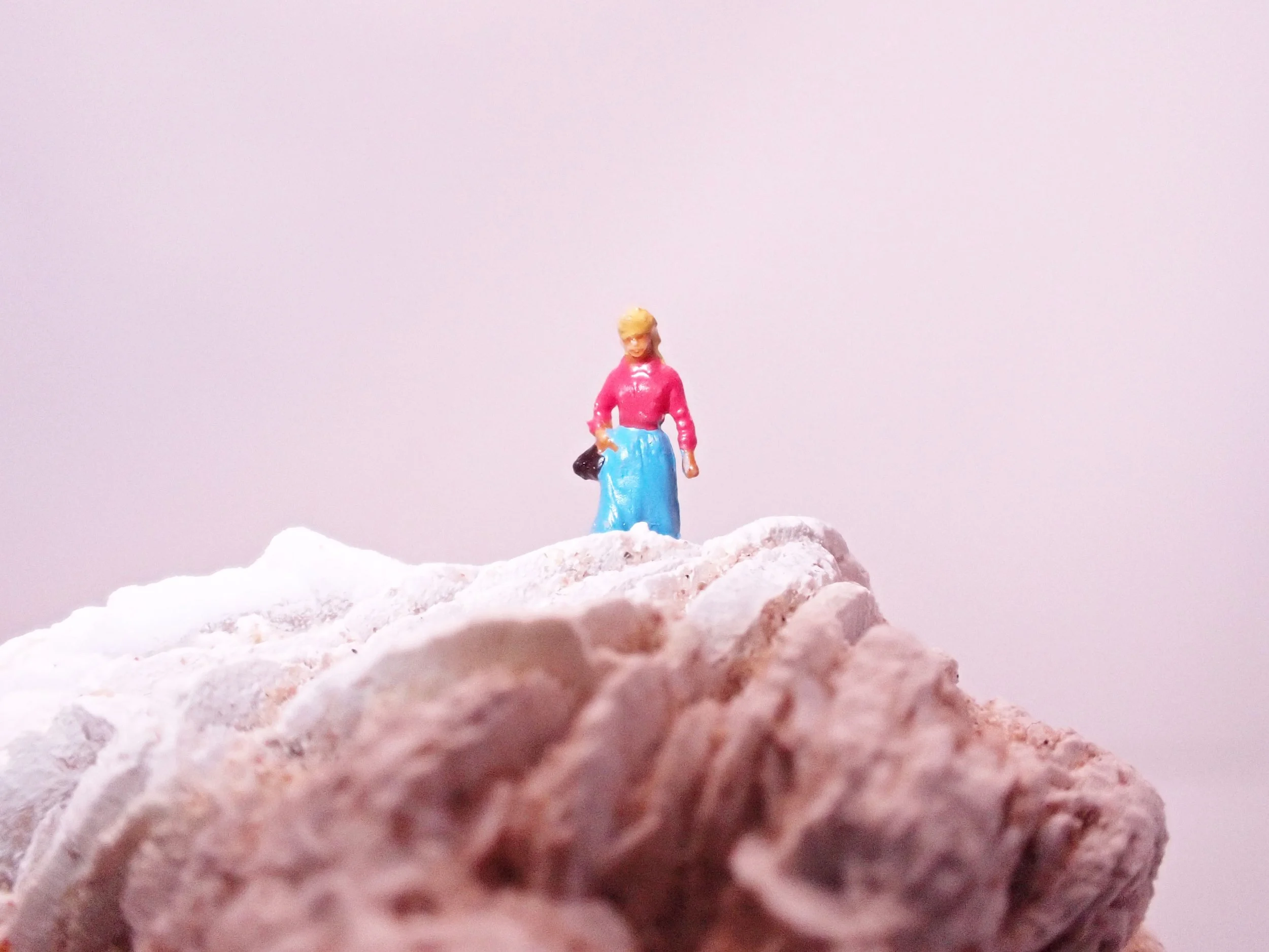 Desert-Rose-Diorama_2_Becky-Wareing-Steele_5_web.jpg