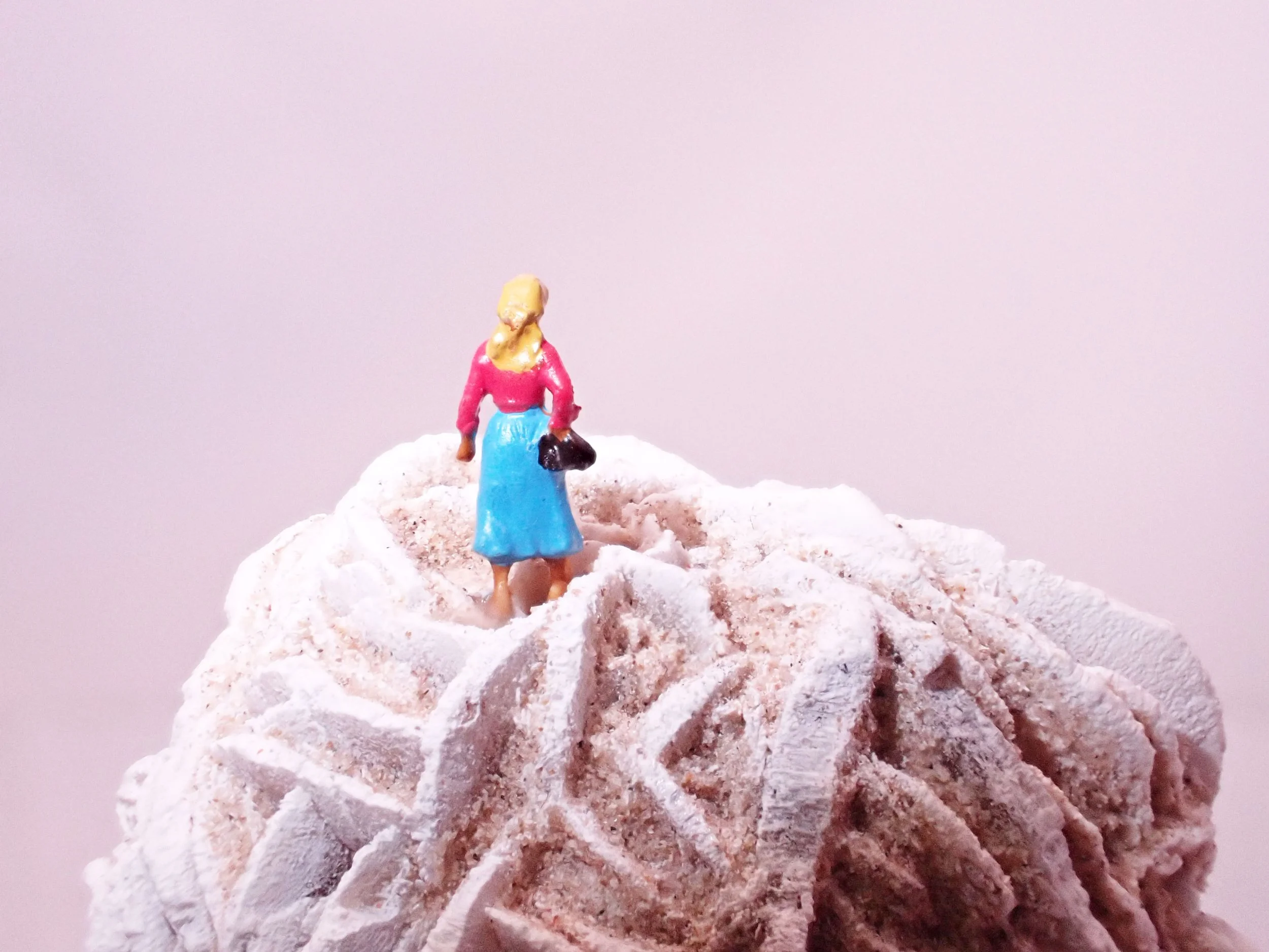Desert-Rose-Diorama_2_Becky-Wareing-Steele_3_web.jpg